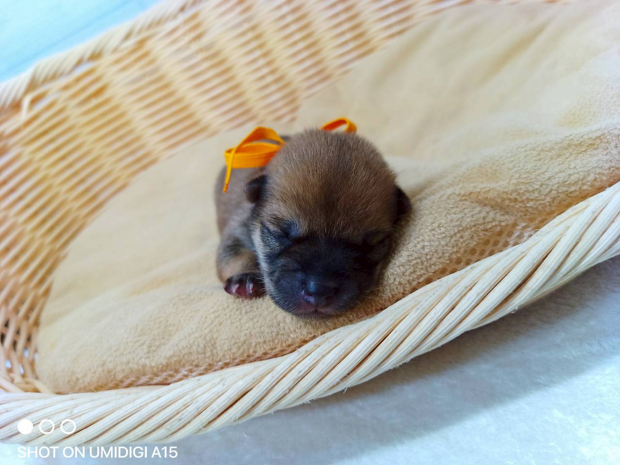 赤ちゃん写真1-1