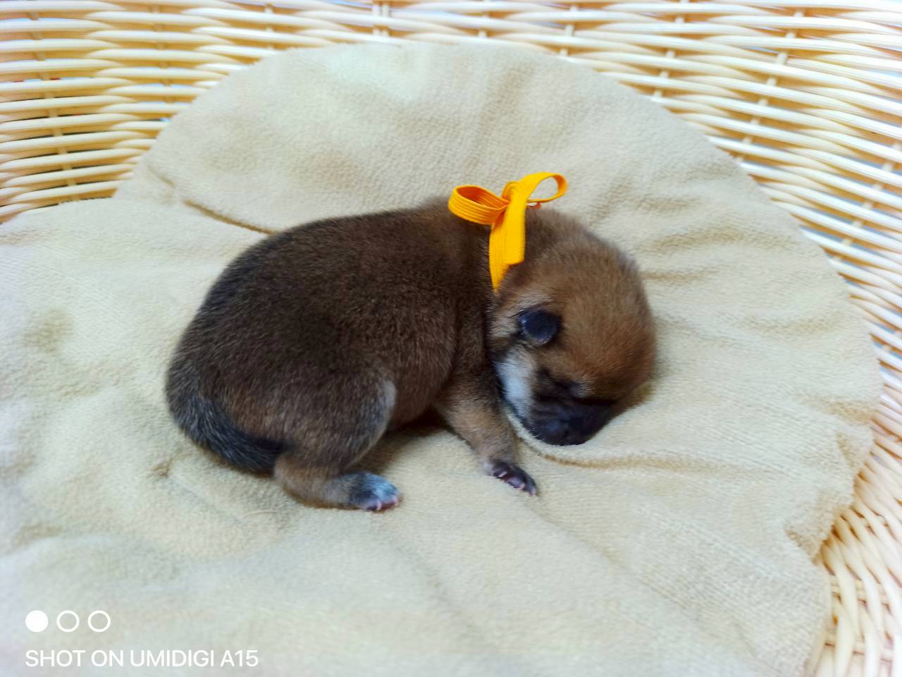 赤ちゃん写真1-2
