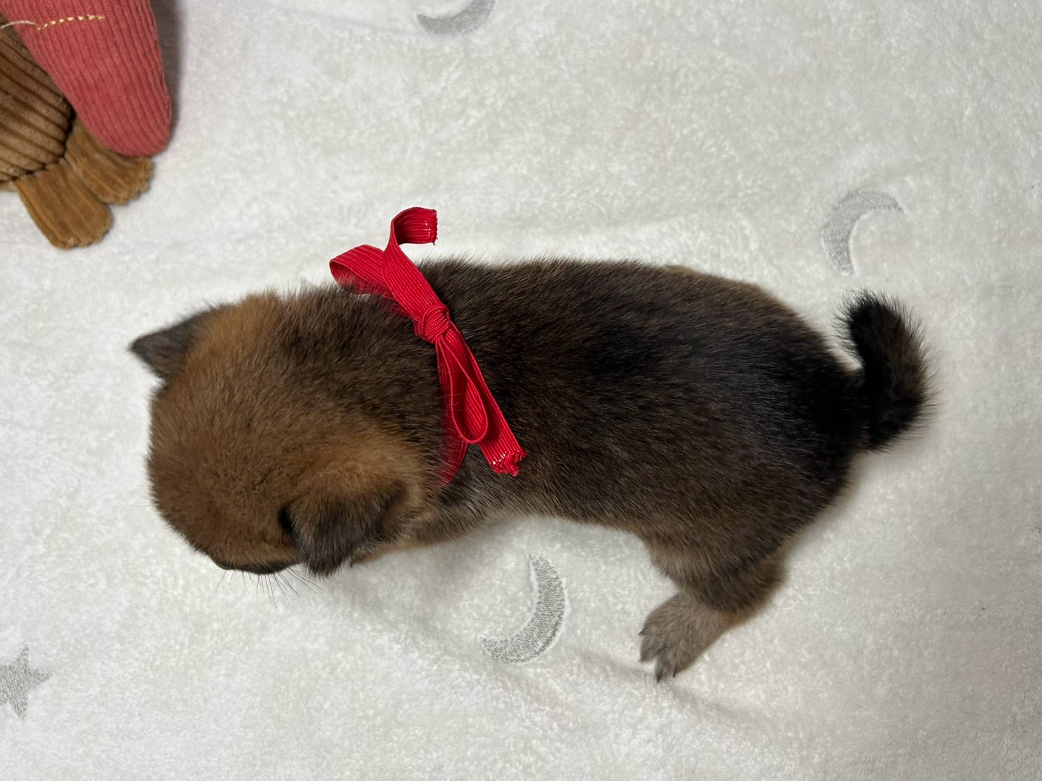 赤ちゃん写真2-3