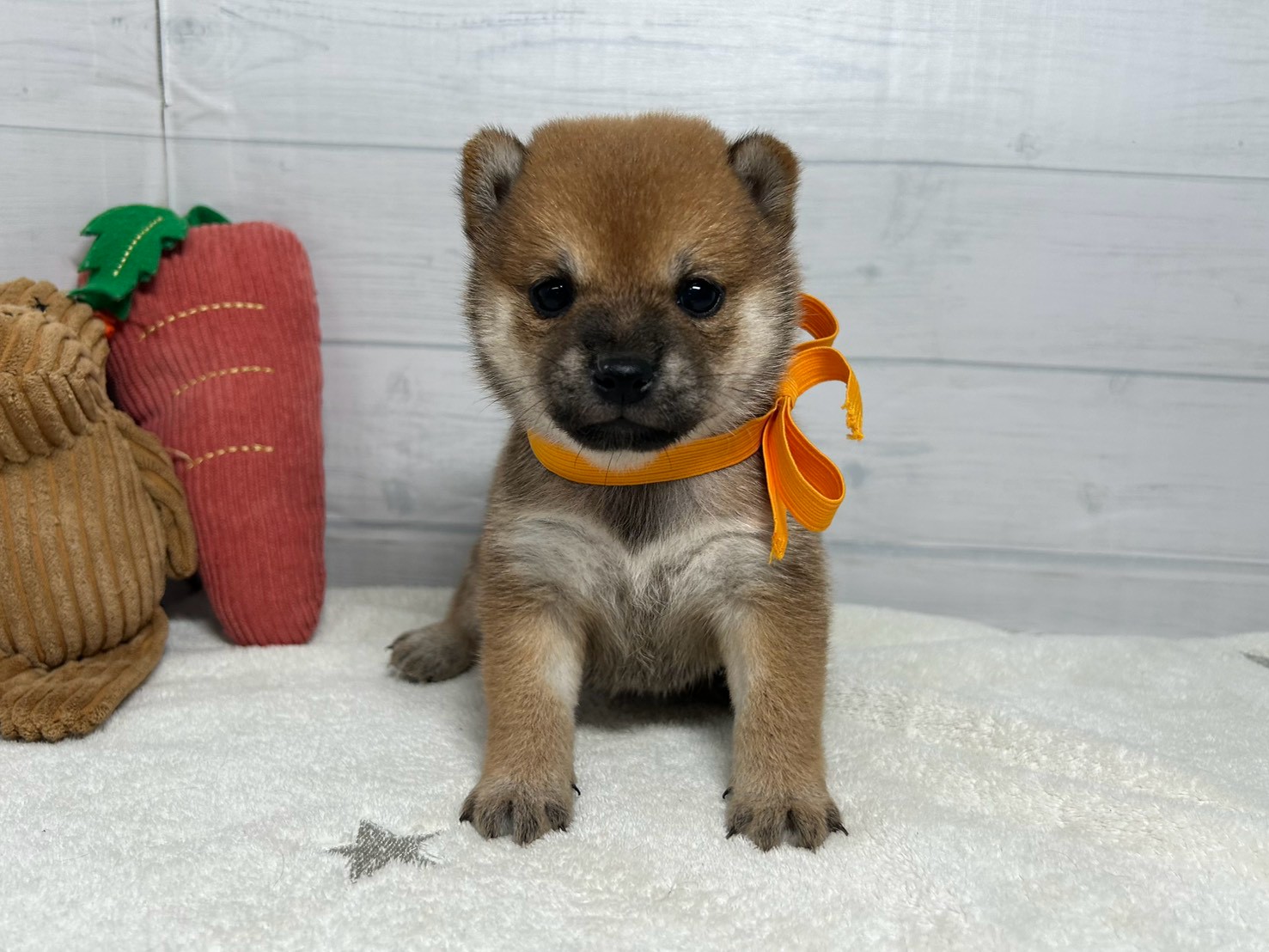 赤ちゃん写真2-1