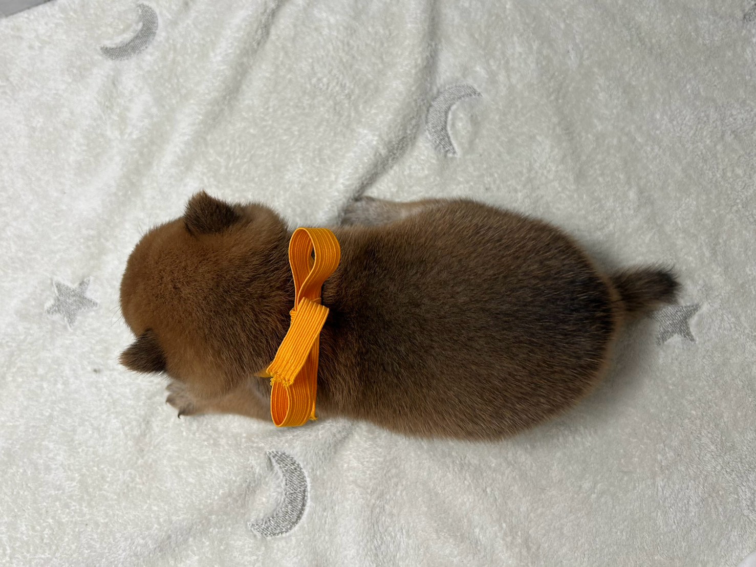赤ちゃん写真2-3