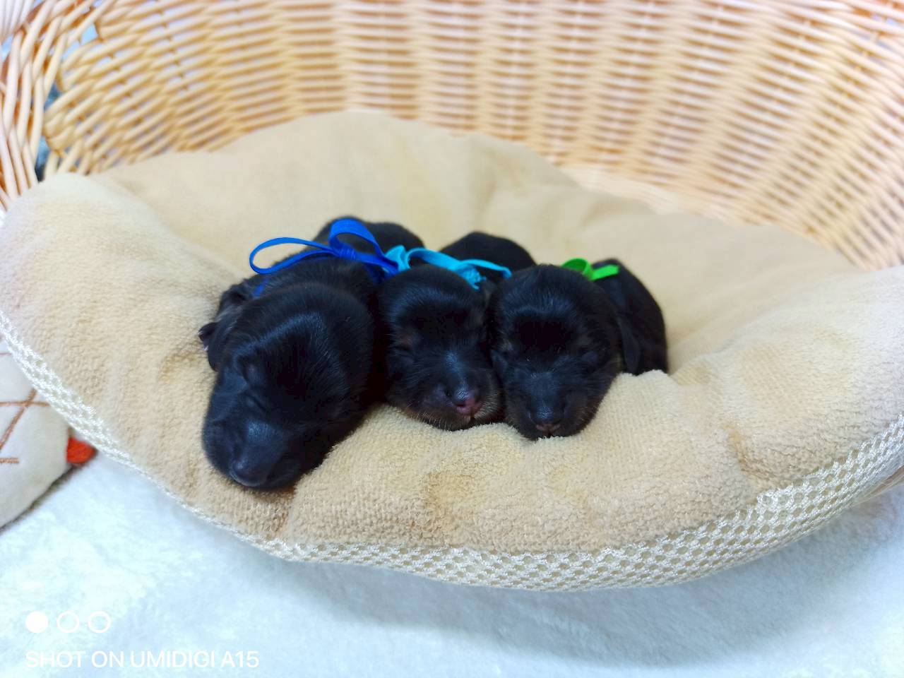 赤ちゃん写真1-3