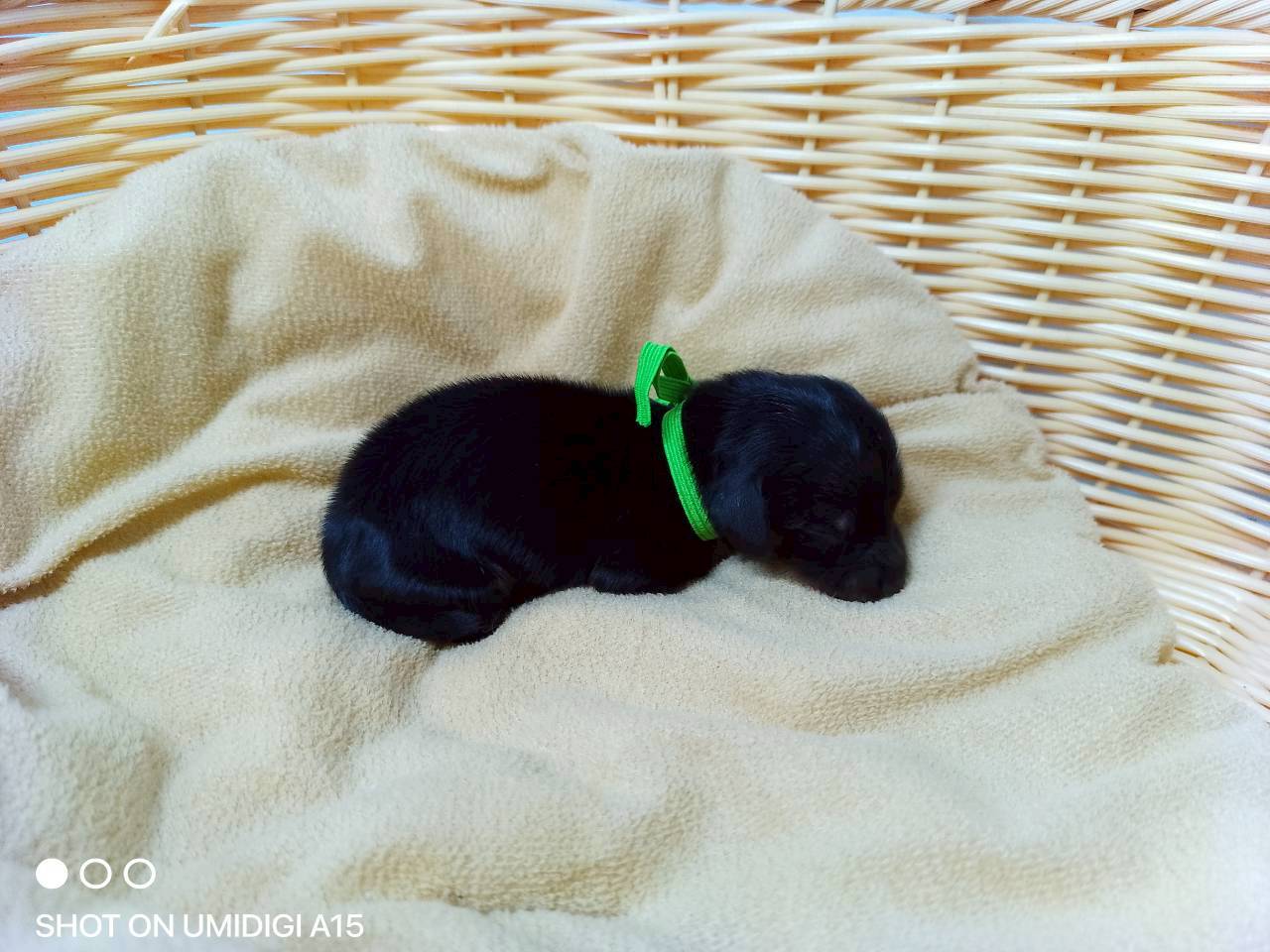 赤ちゃん写真1-2