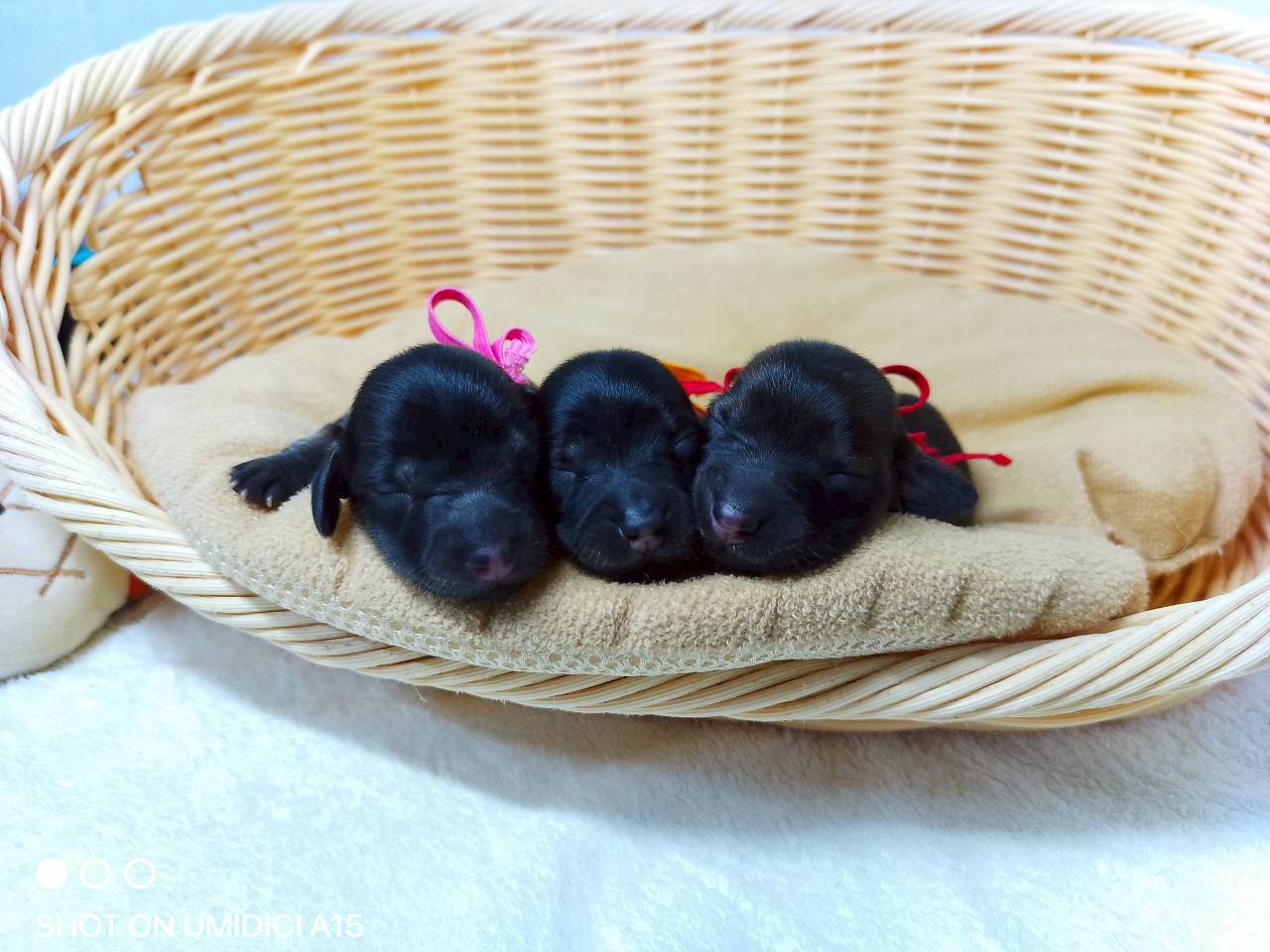 赤ちゃん写真1-3