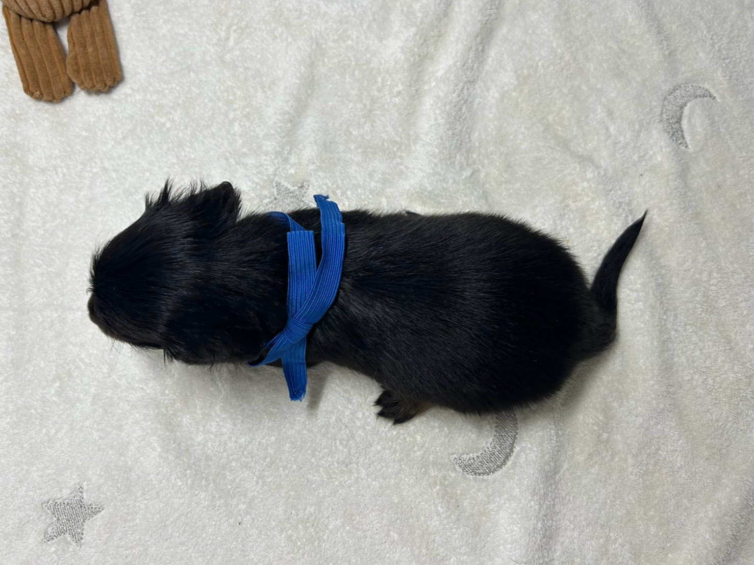 赤ちゃん写真2-3