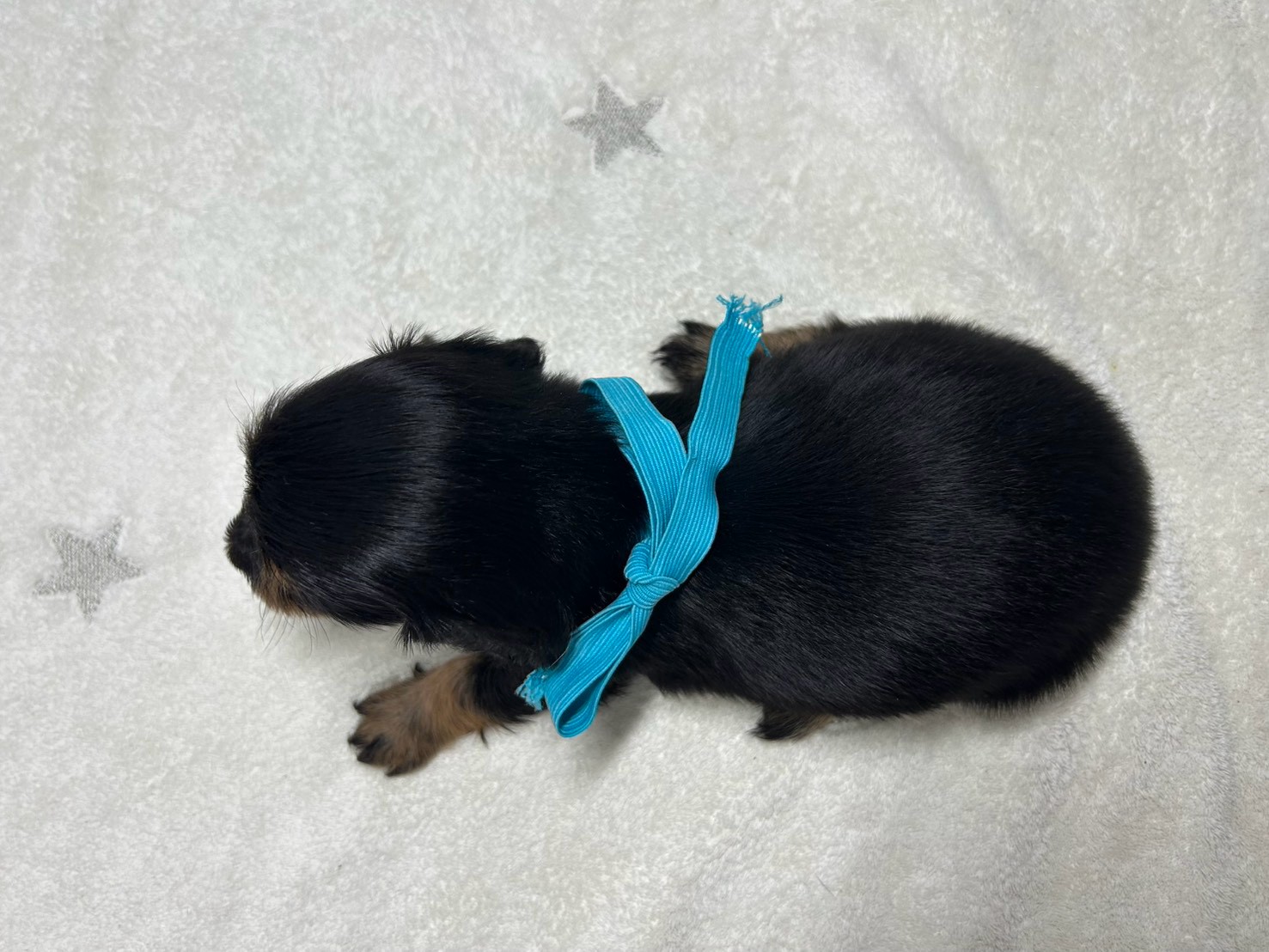 赤ちゃん写真2-3