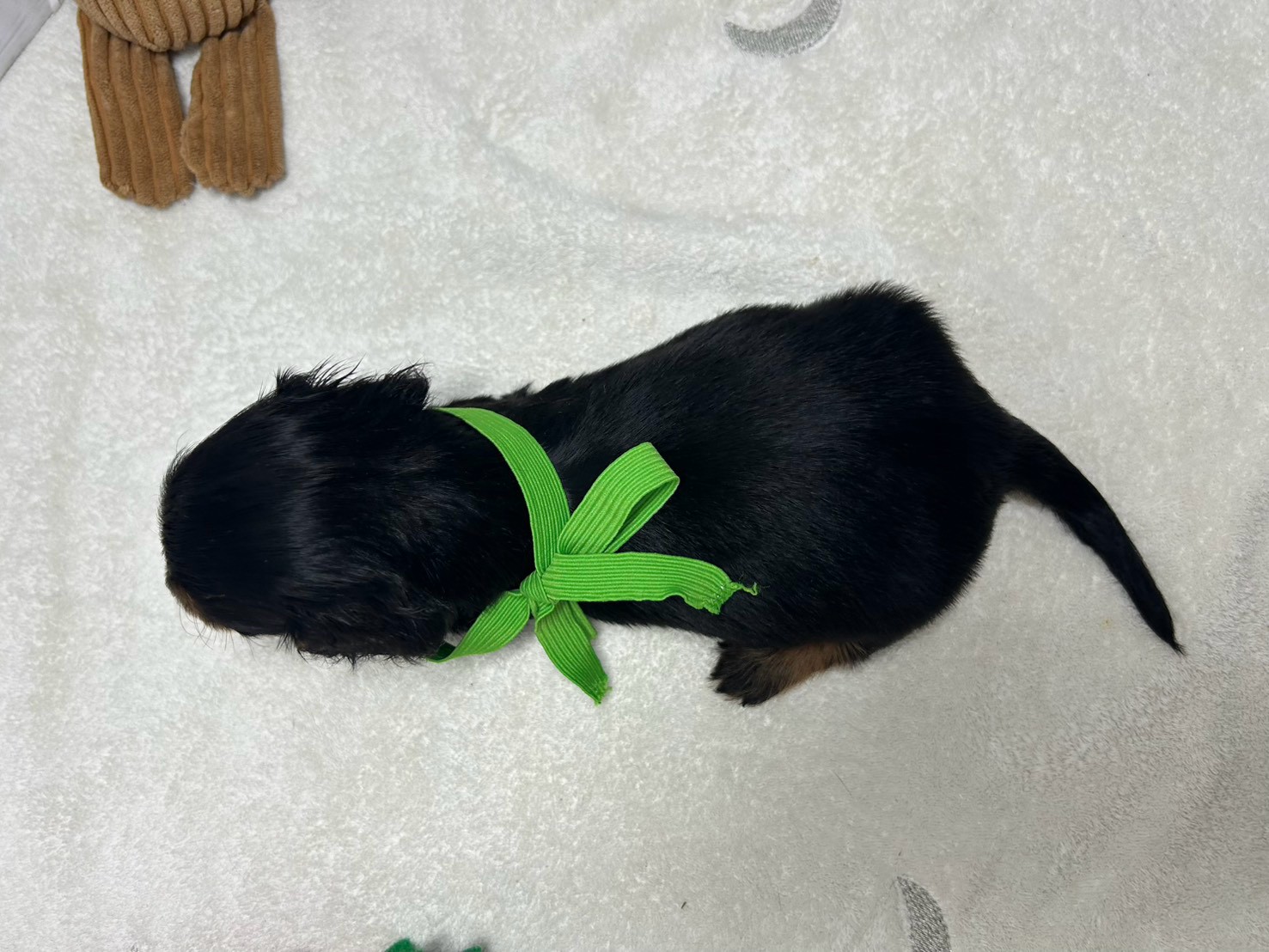 赤ちゃん写真2-3