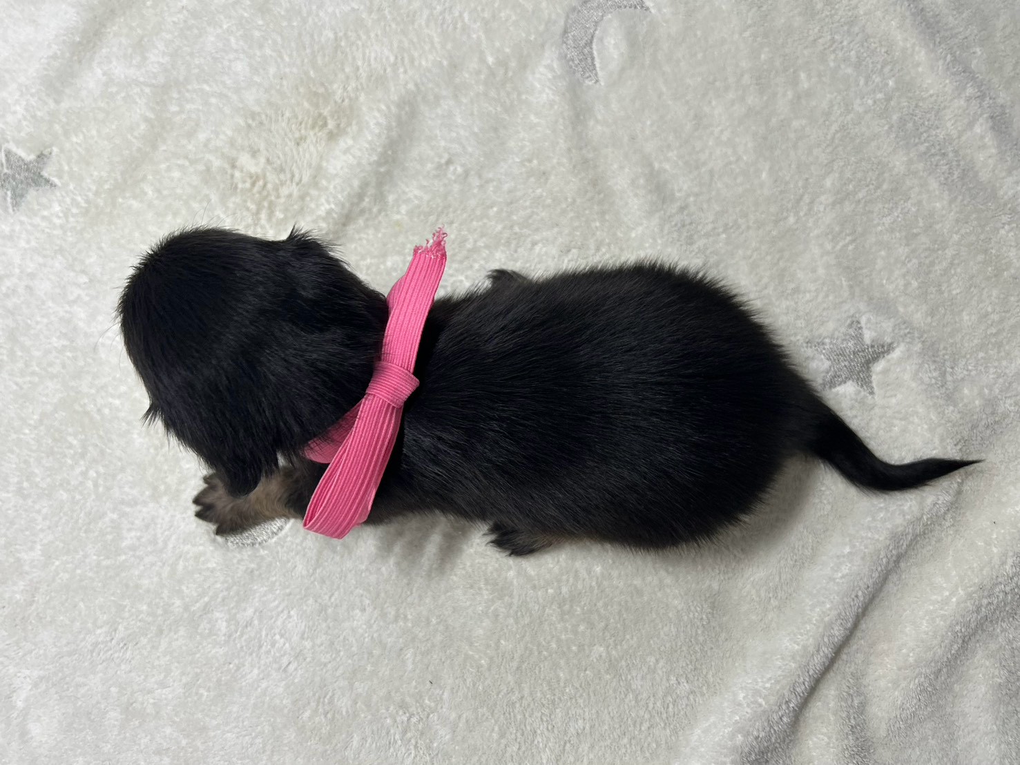赤ちゃん写真2-3