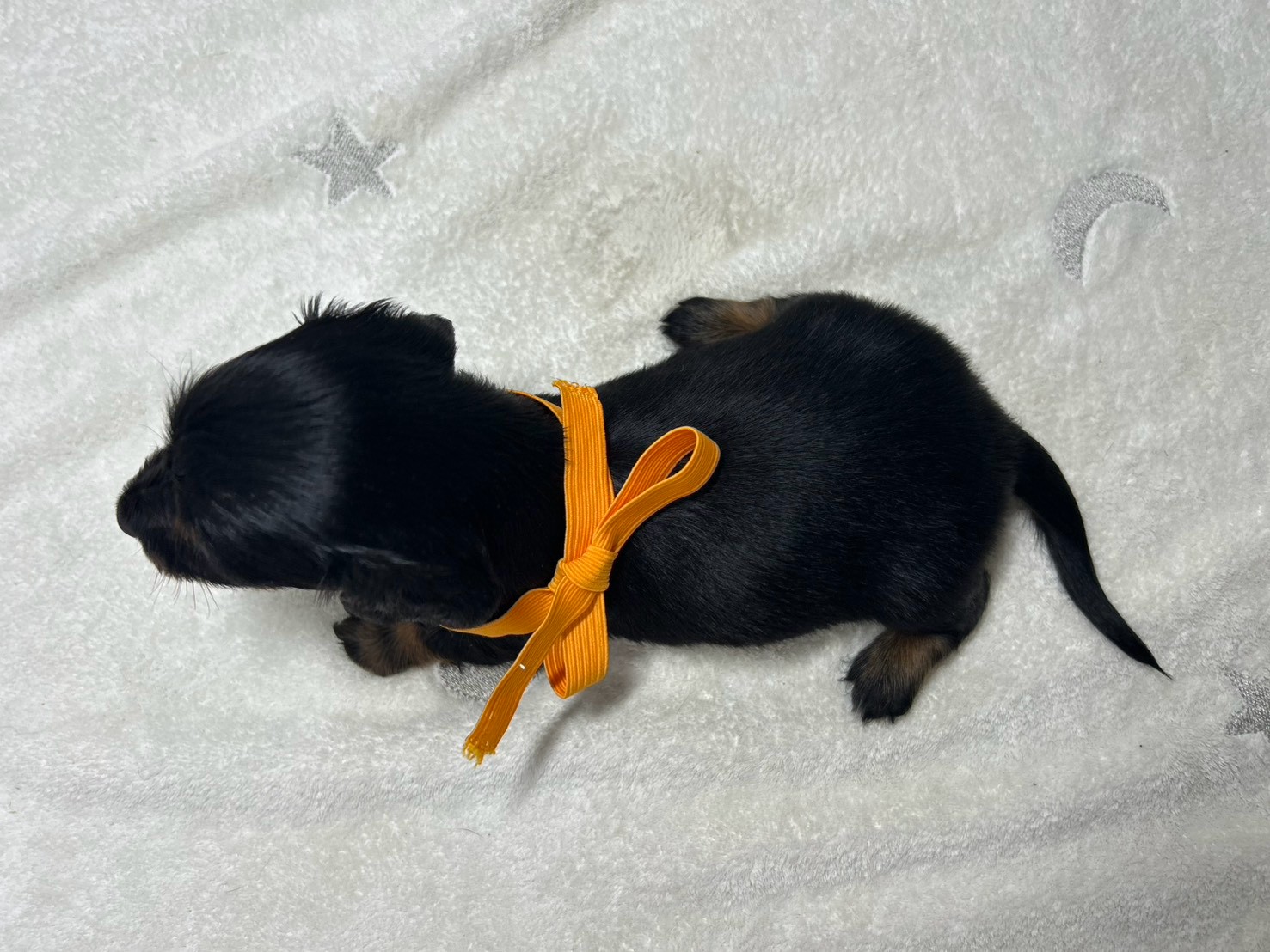 赤ちゃん写真2-3