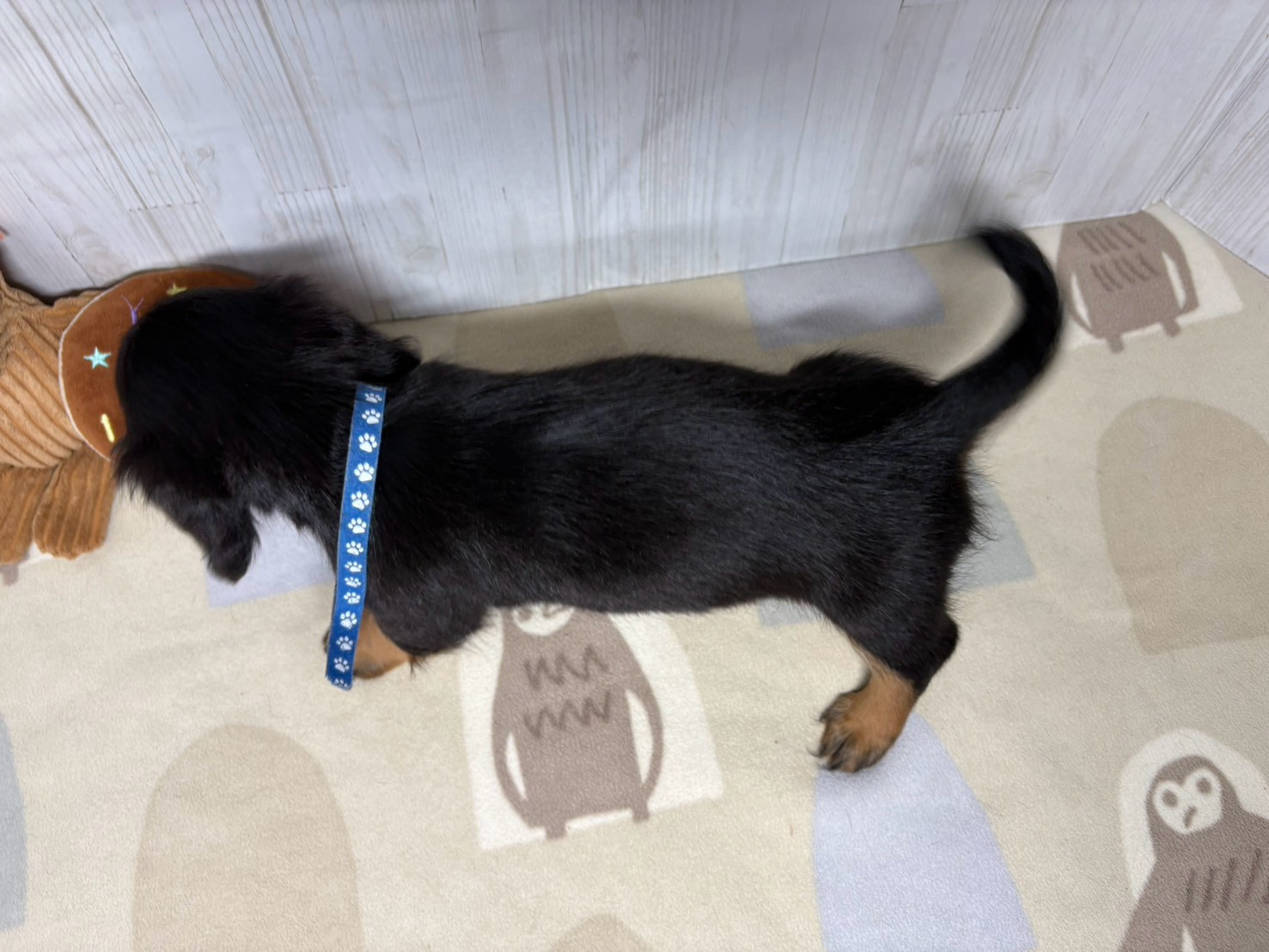 赤ちゃん写真3-3