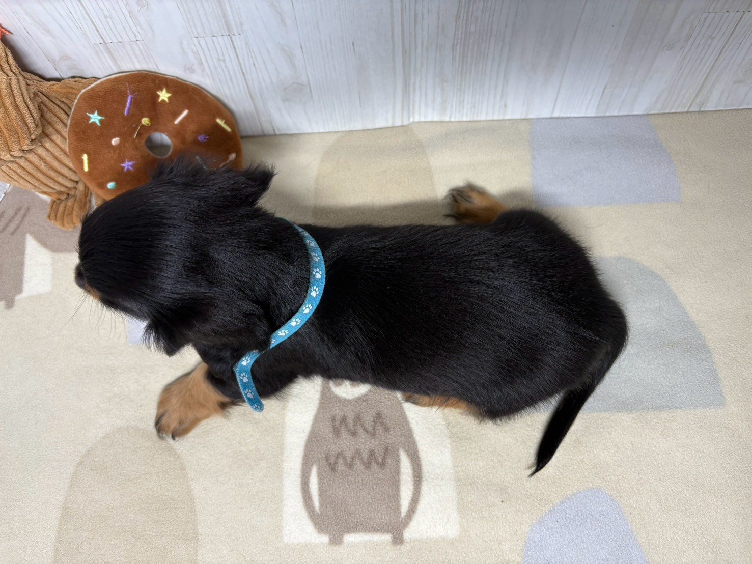 赤ちゃん写真3-3