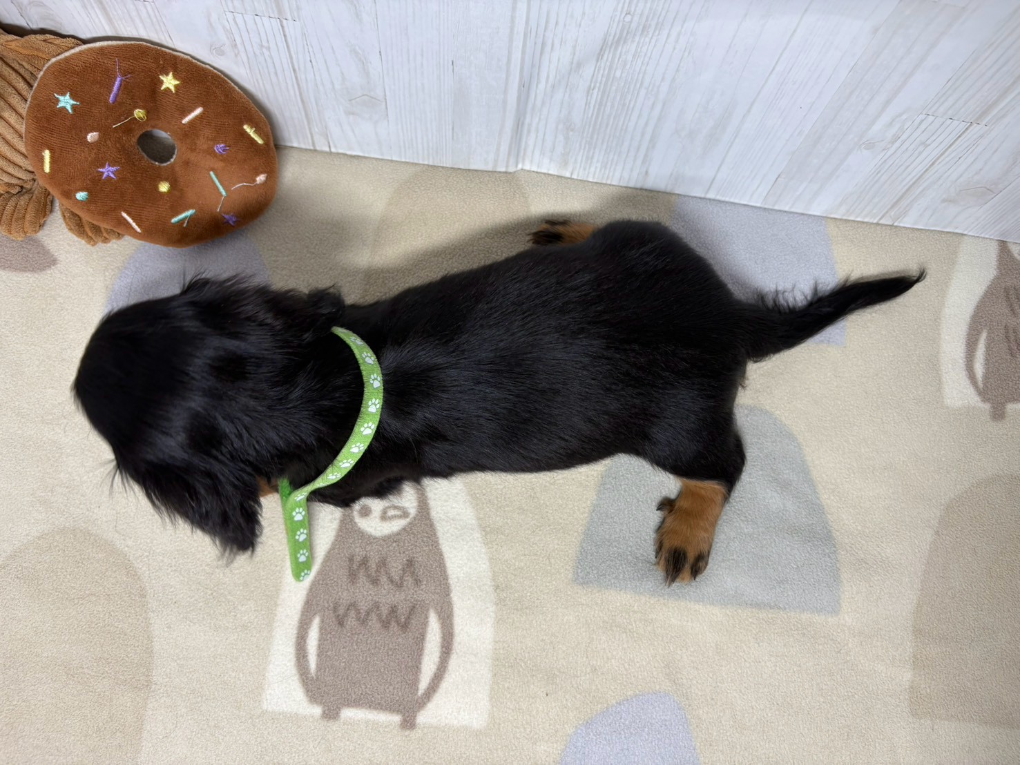 赤ちゃん写真3-3