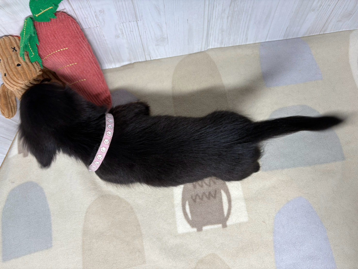 赤ちゃん写真3-3