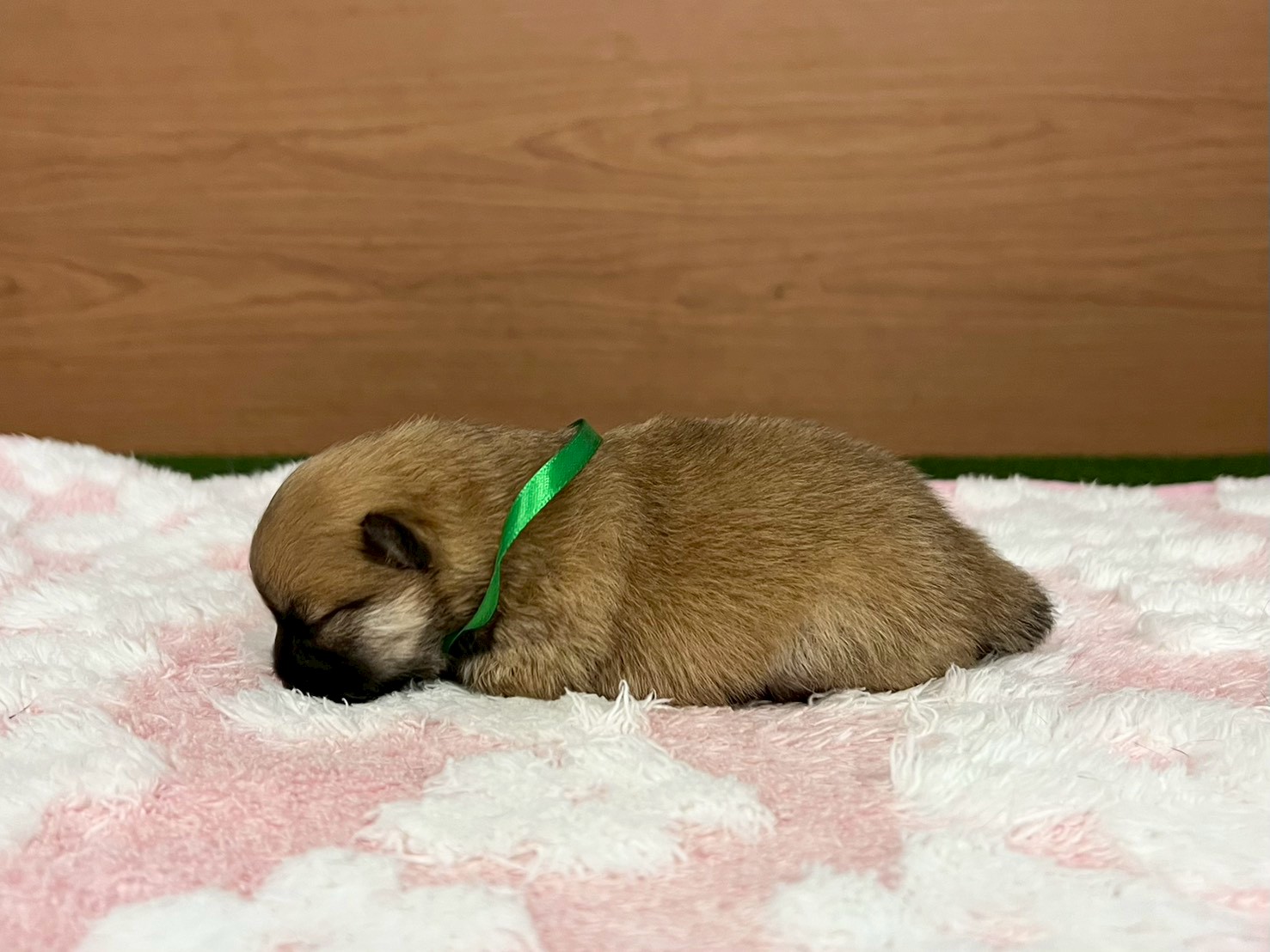 赤ちゃん写真1-2