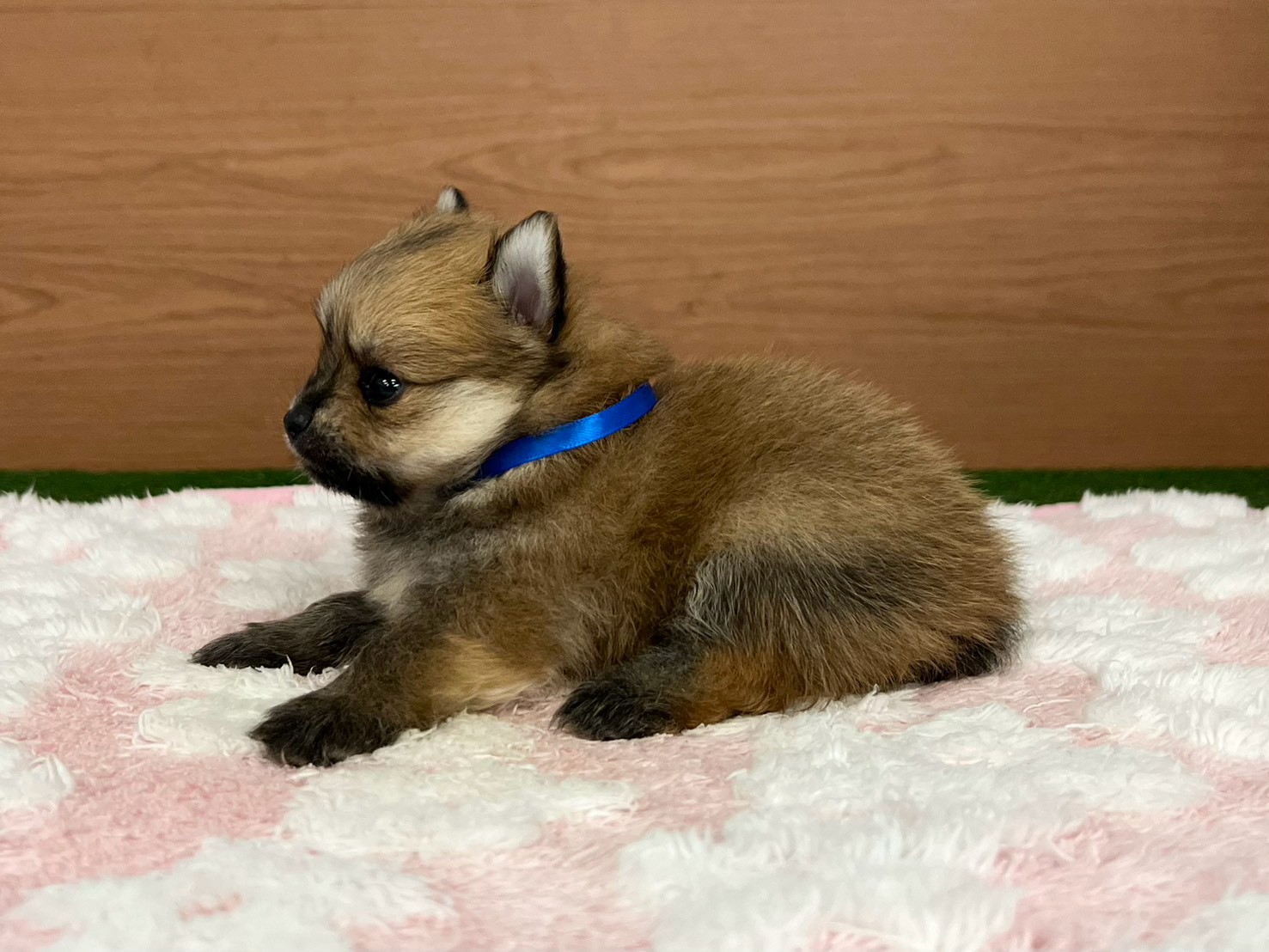 赤ちゃん写真2-2