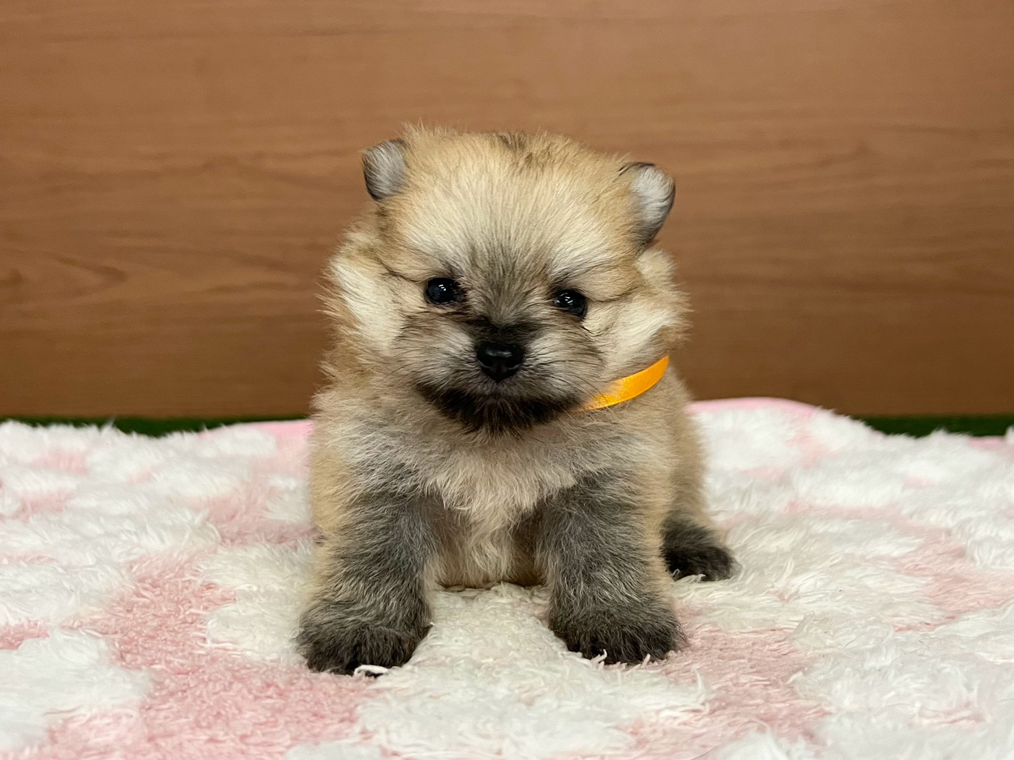 赤ちゃん写真2-1