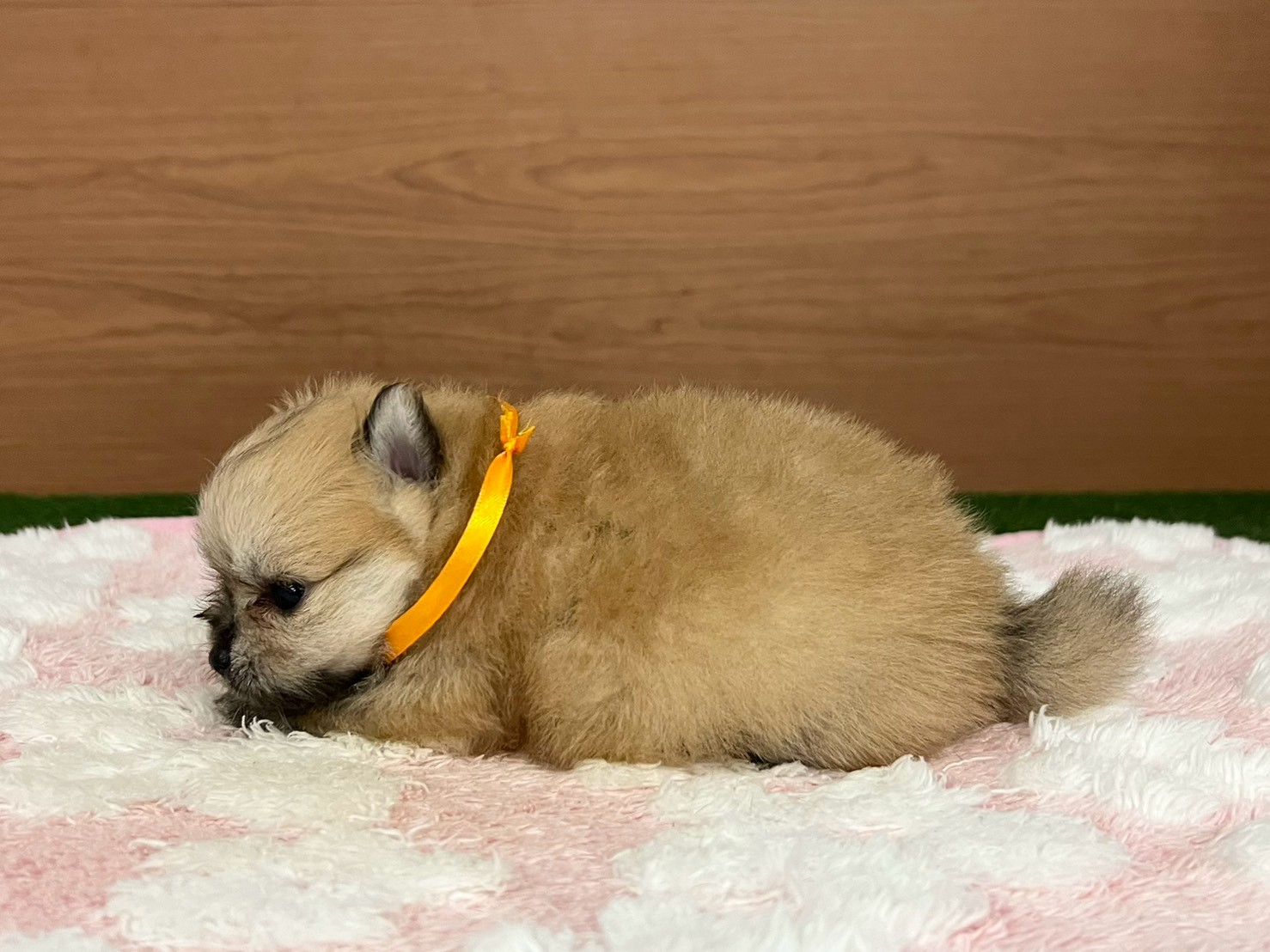 赤ちゃん写真2-2