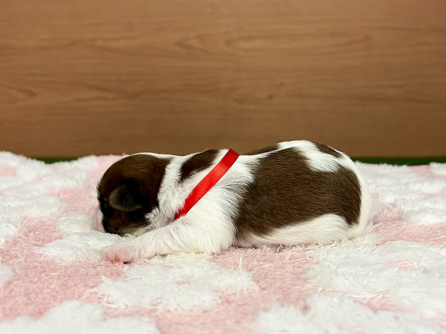 赤ちゃん写真1-2