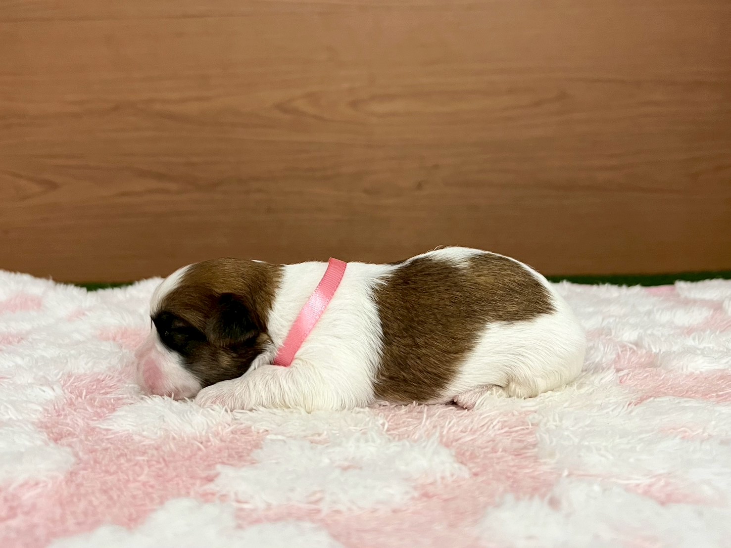 赤ちゃん写真1-2