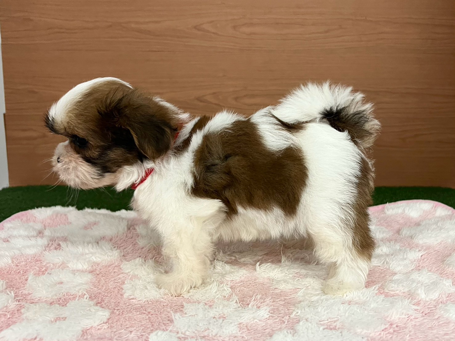 赤ちゃん写真3-2