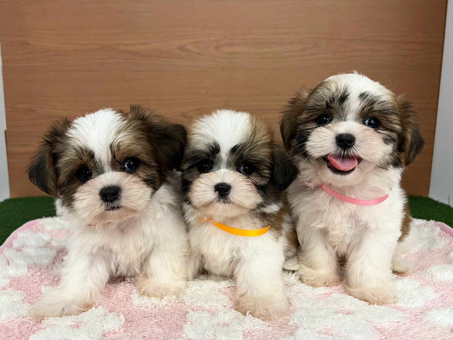 赤ちゃん写真3-3