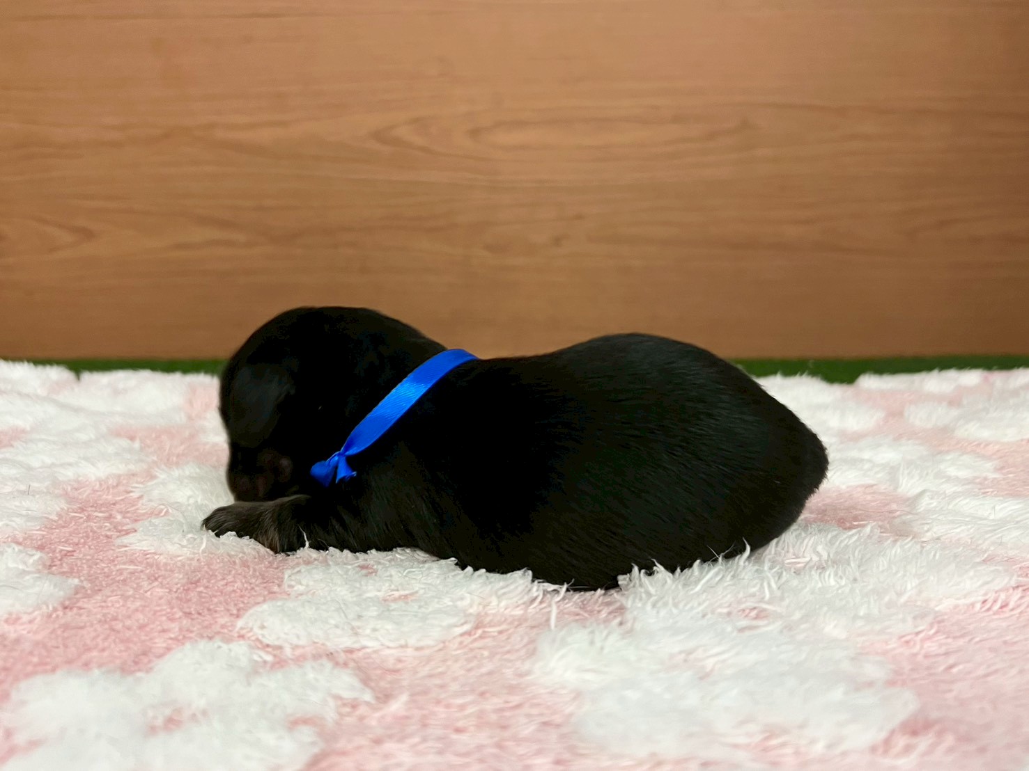 赤ちゃん写真1-2