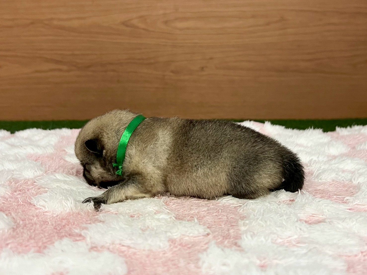 赤ちゃん写真1-2