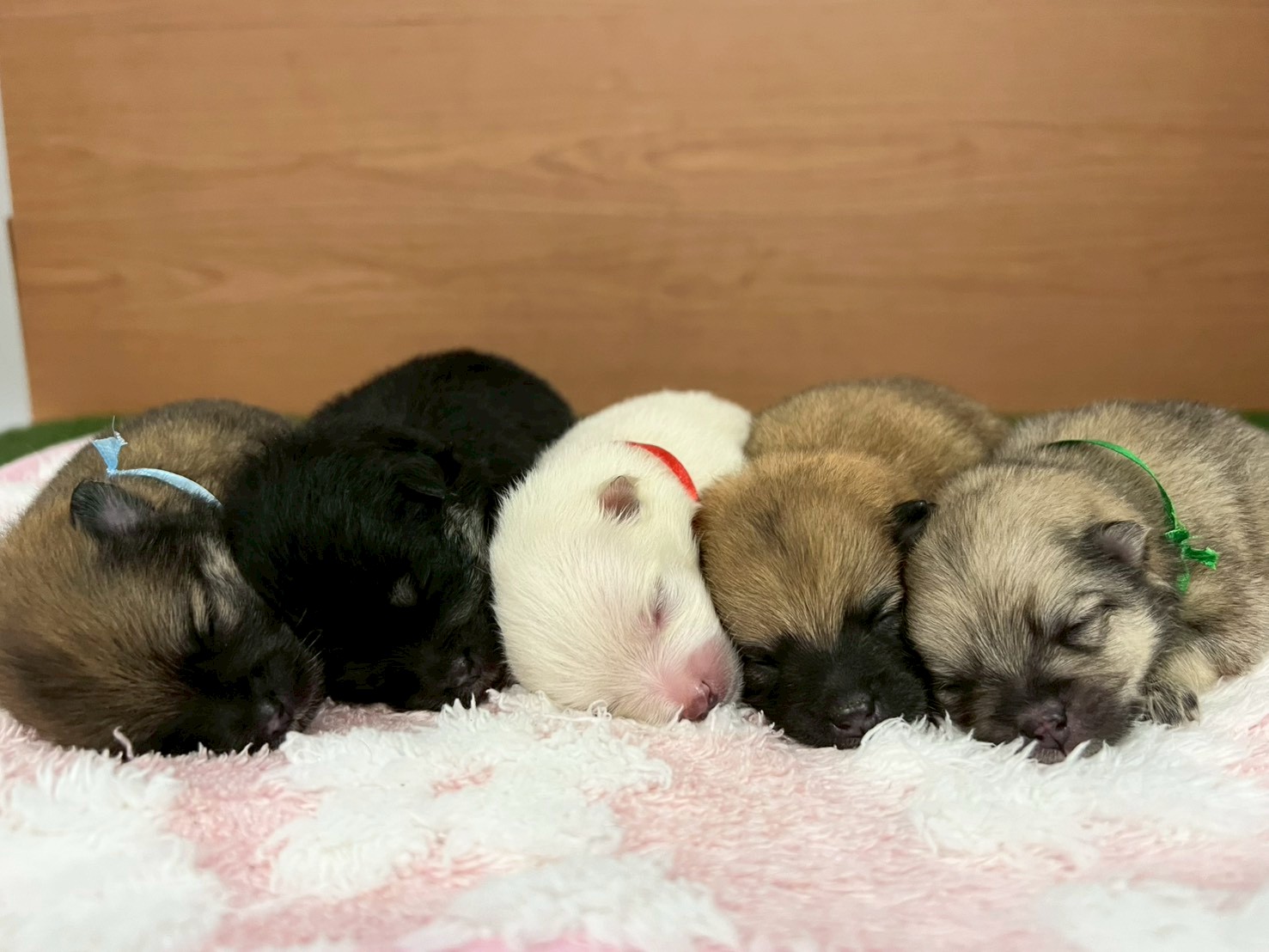 赤ちゃん写真1-3