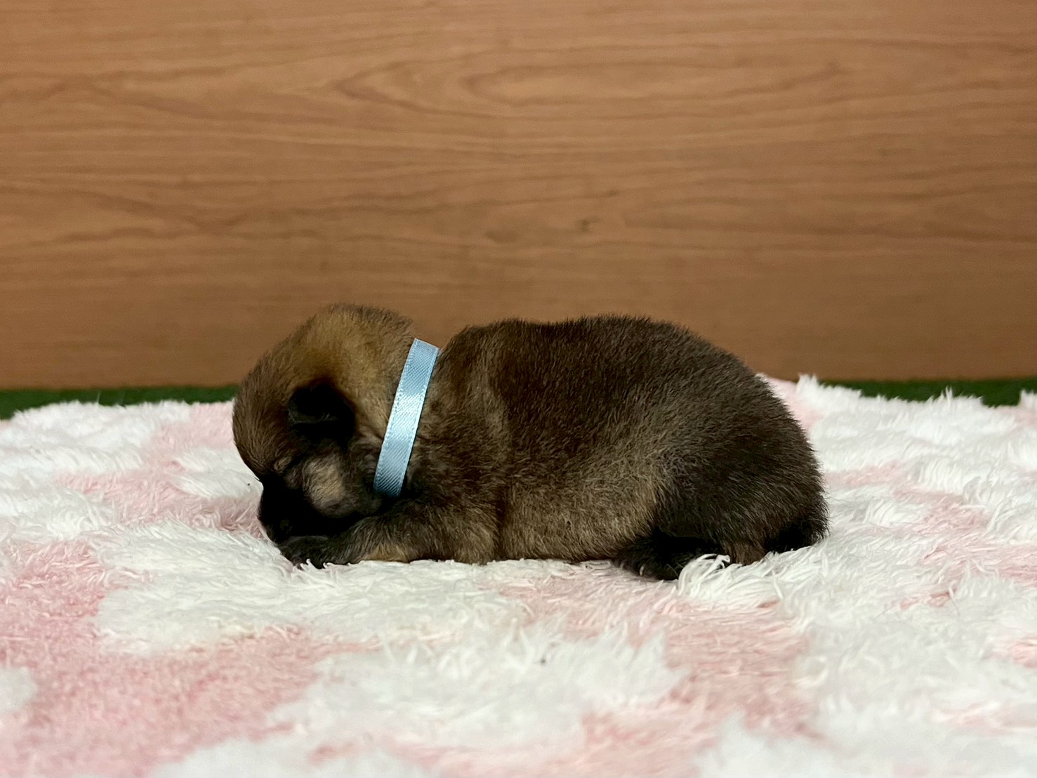 赤ちゃん写真1-2