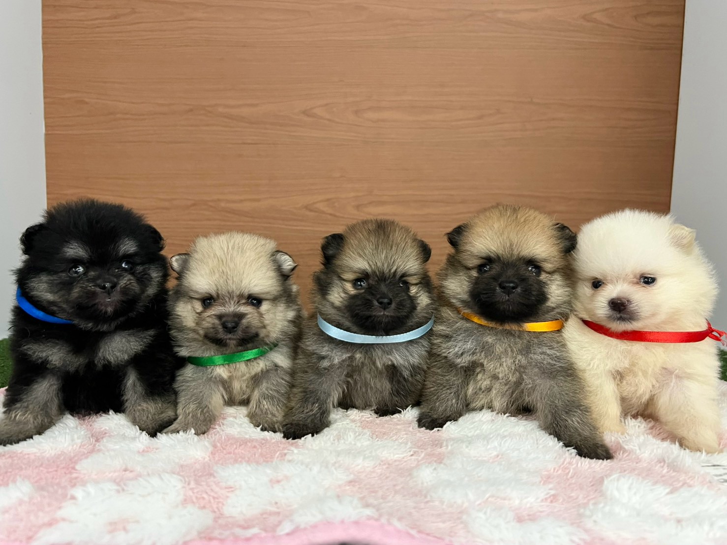 赤ちゃん写真2-3
