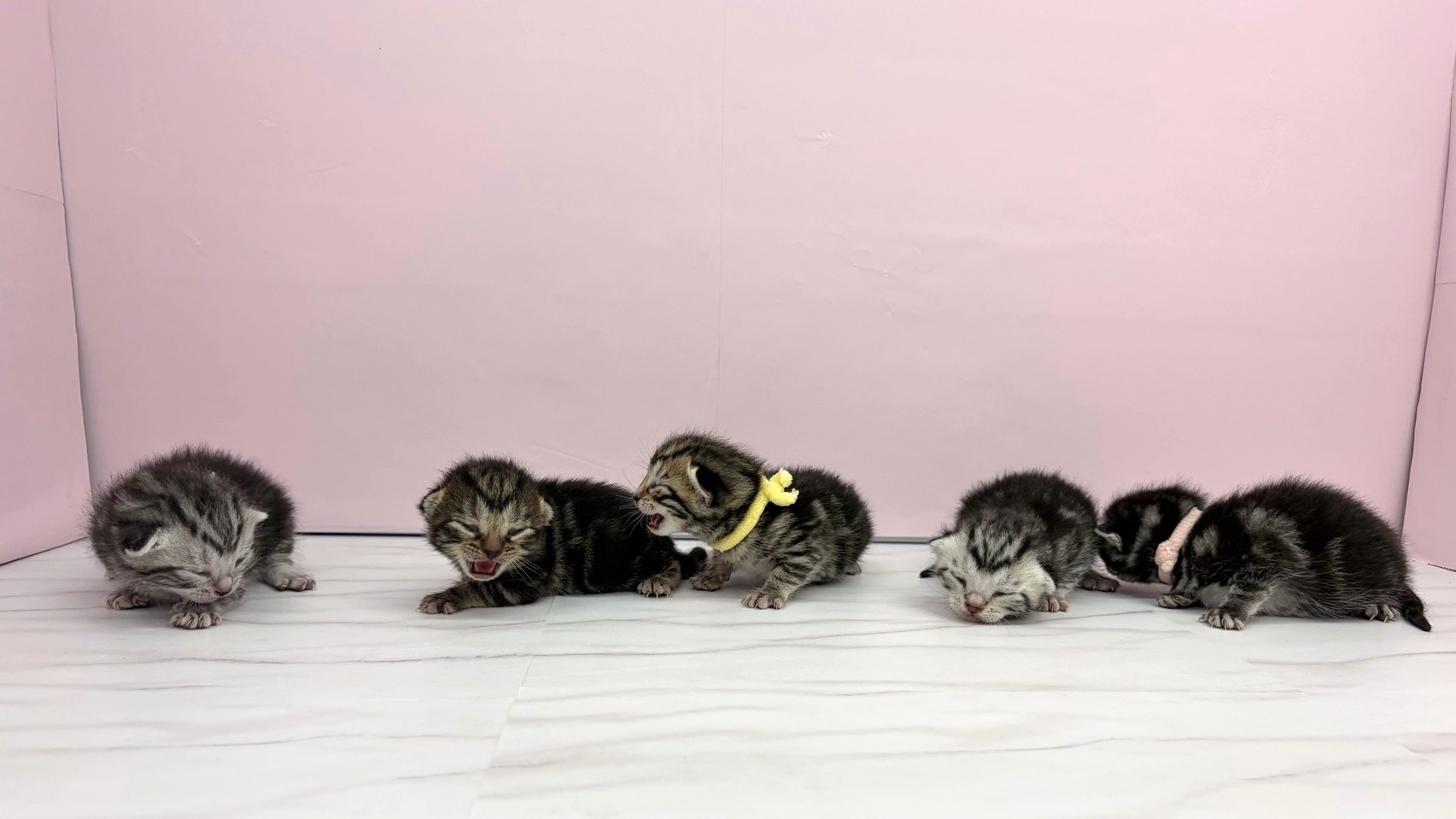 赤ちゃん写真1-3