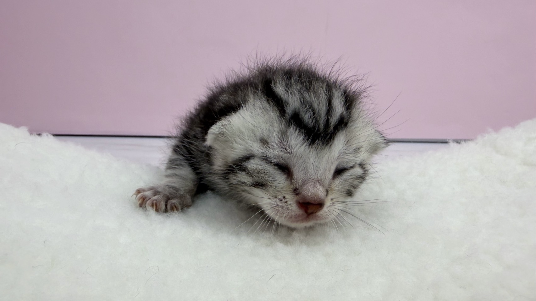 赤ちゃん写真1-1