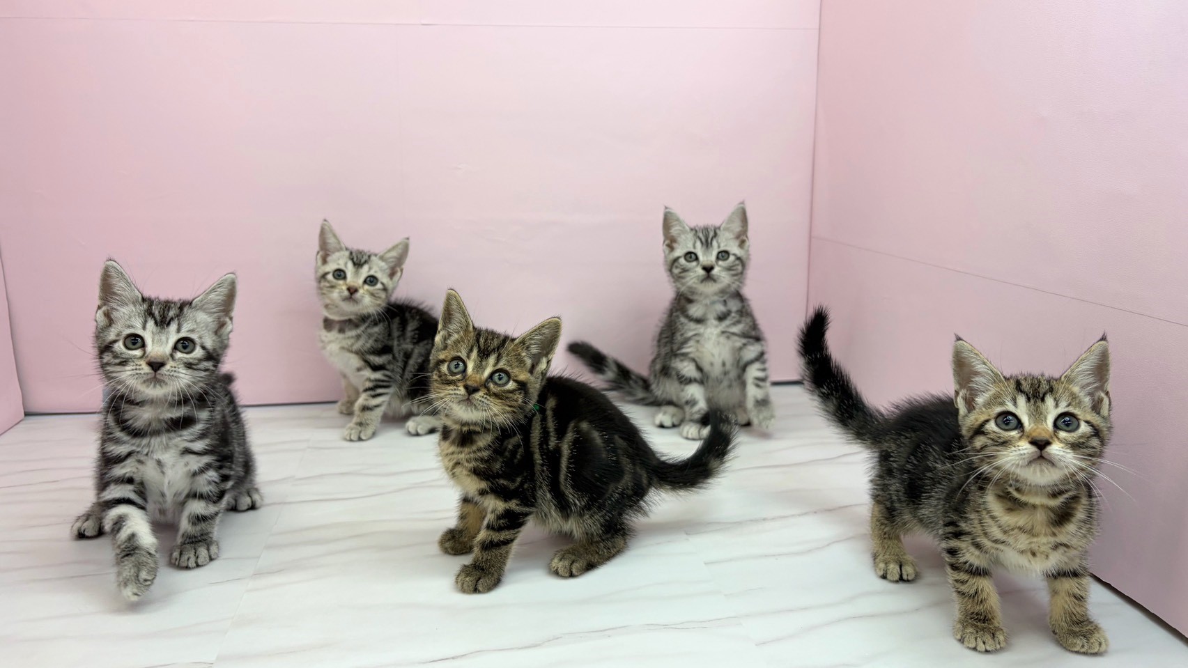 赤ちゃん写真2-3