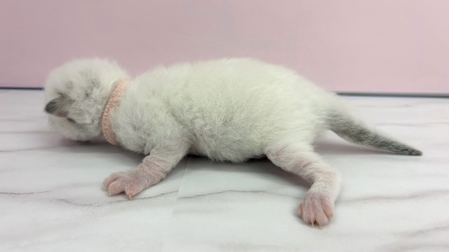 赤ちゃん写真1-2
