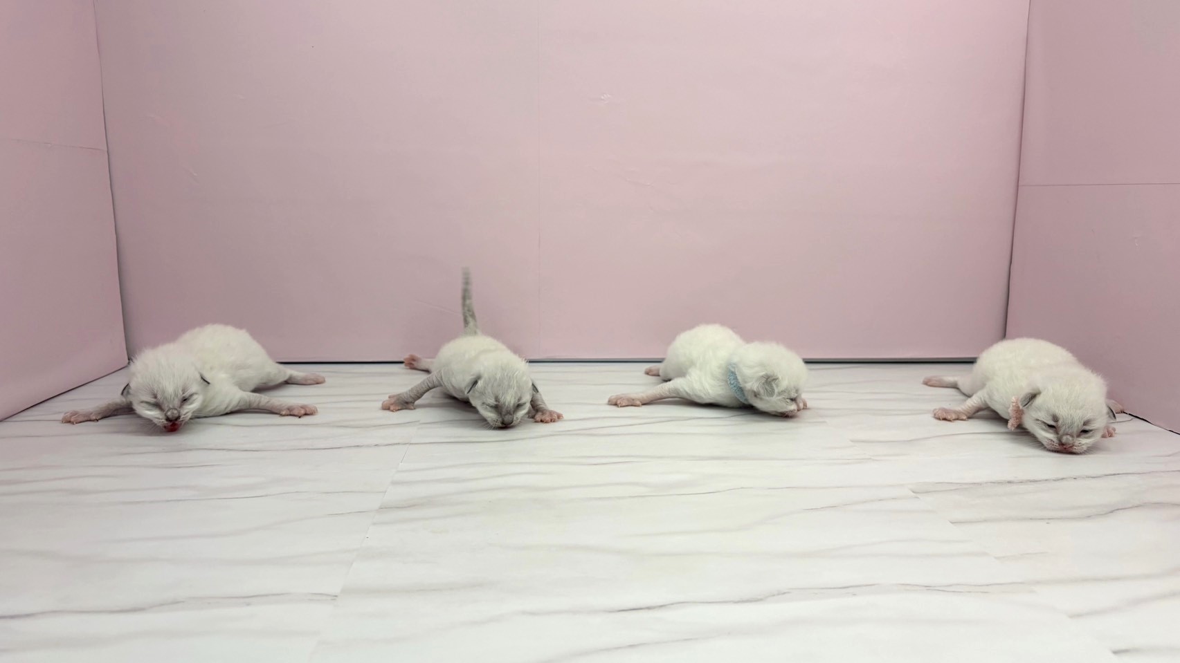 赤ちゃん写真1-3