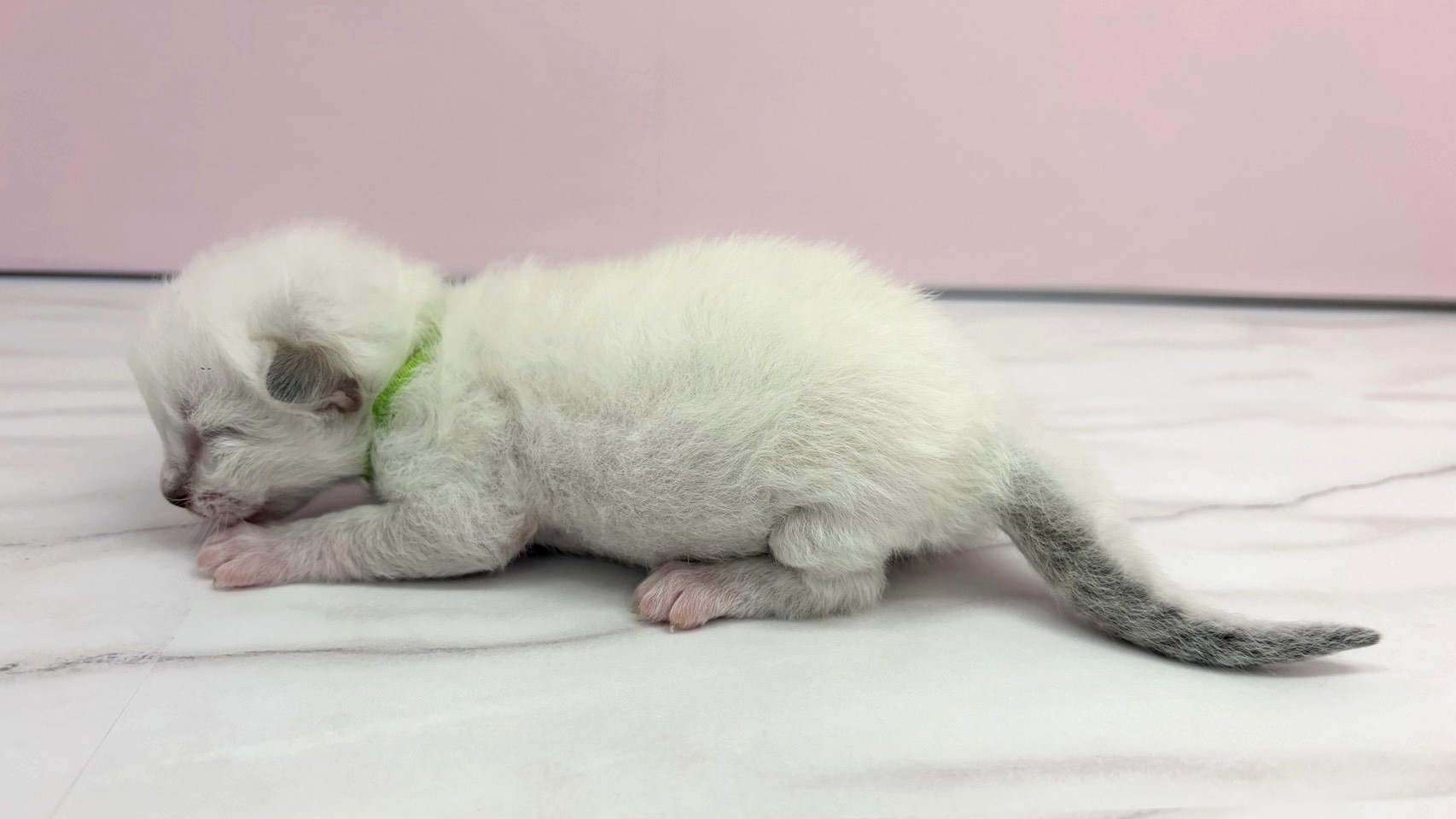 赤ちゃん写真1-2