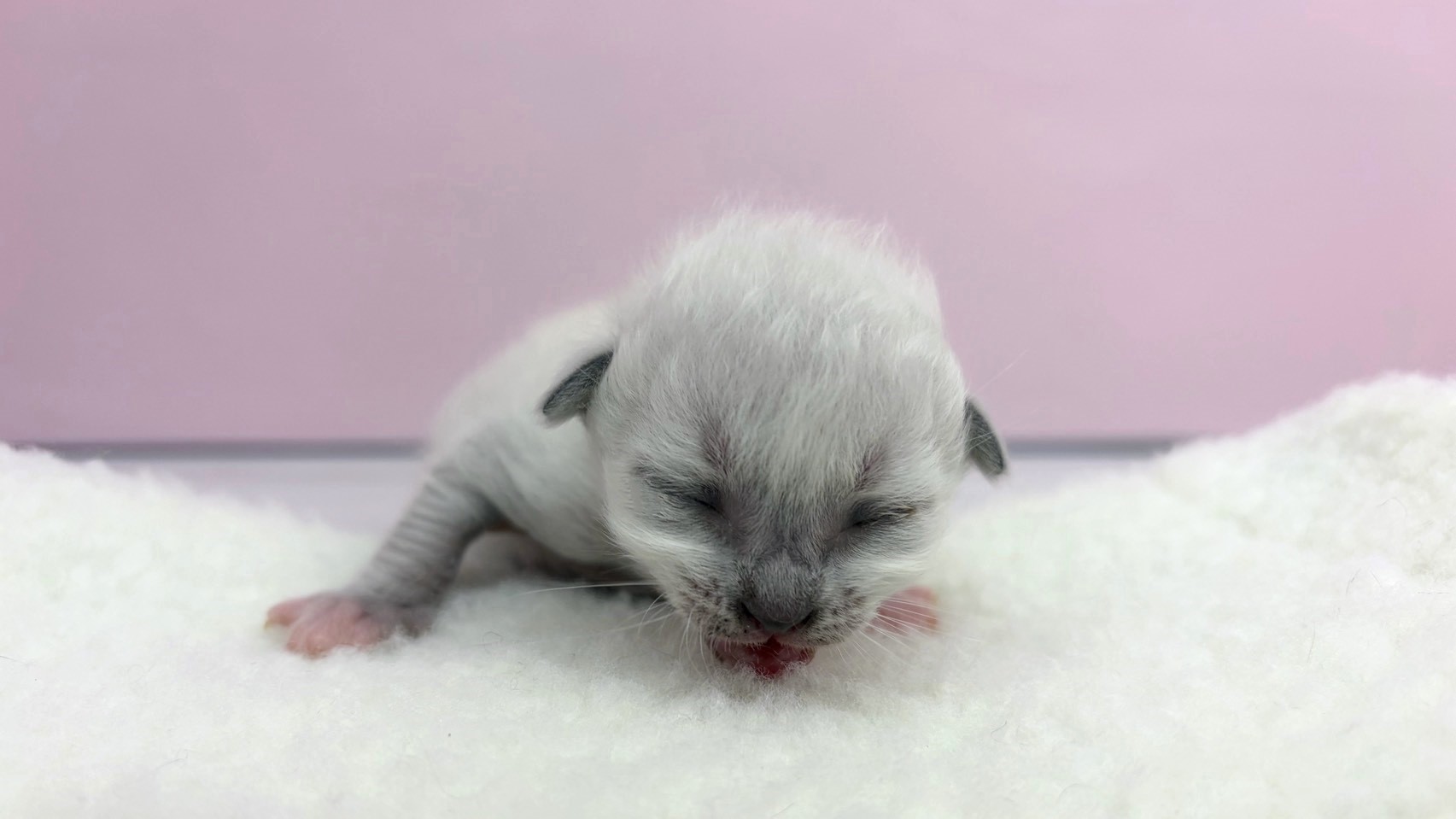 赤ちゃん写真1-1