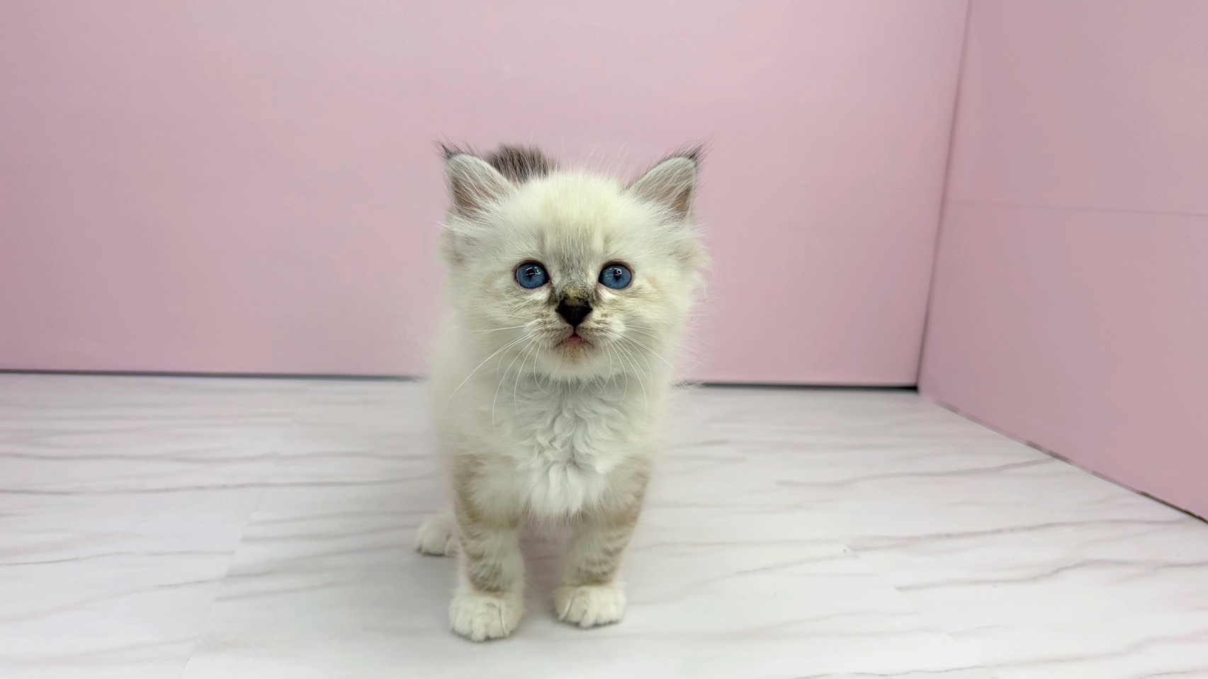赤ちゃん写真2-1