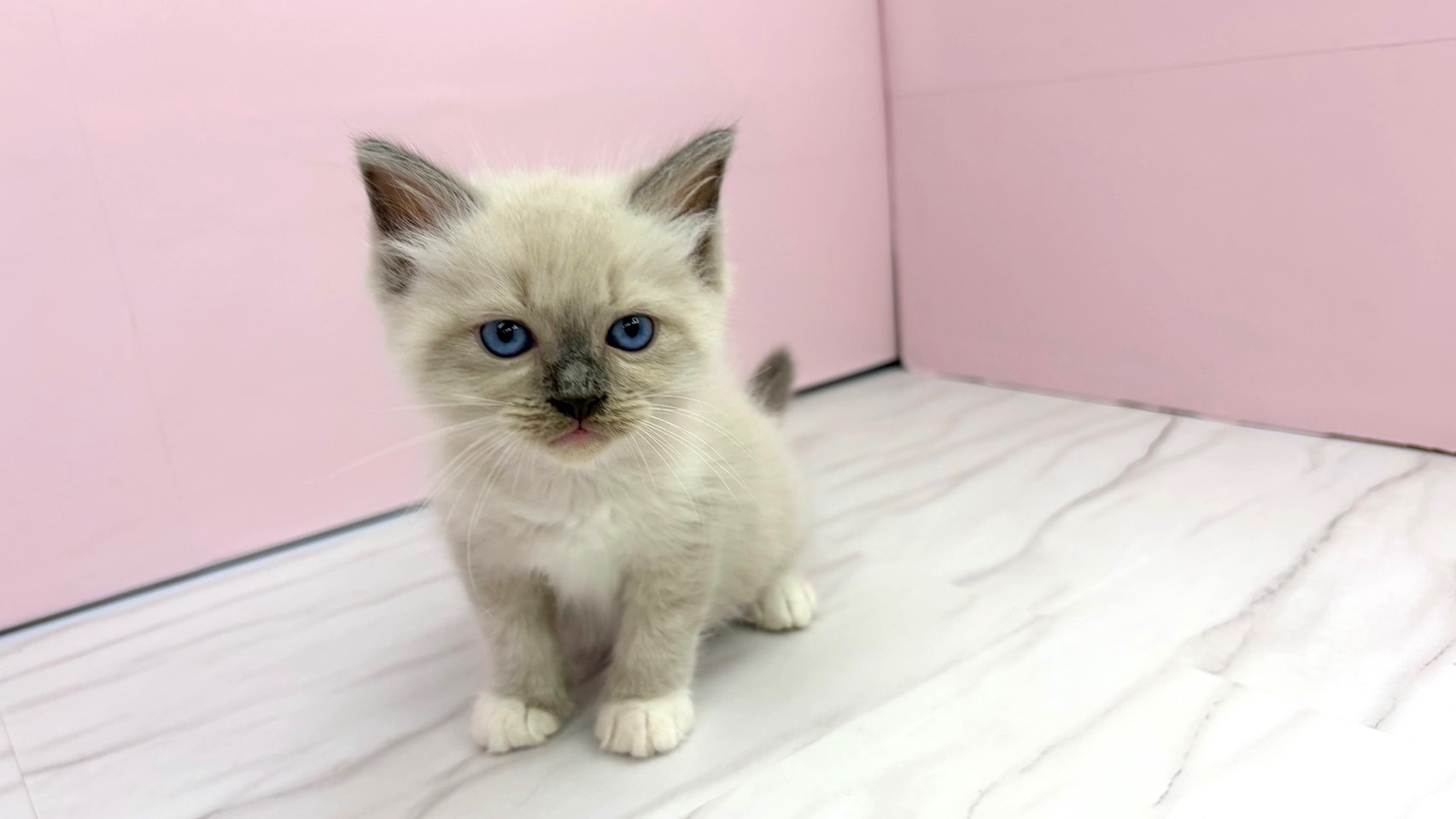 赤ちゃん写真2-1