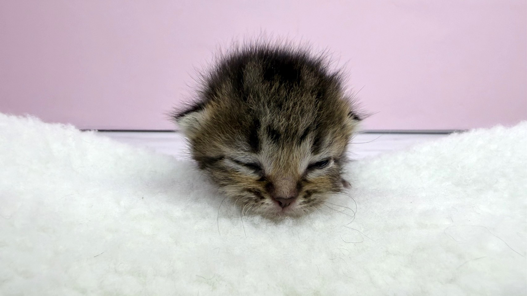 赤ちゃん写真1-1