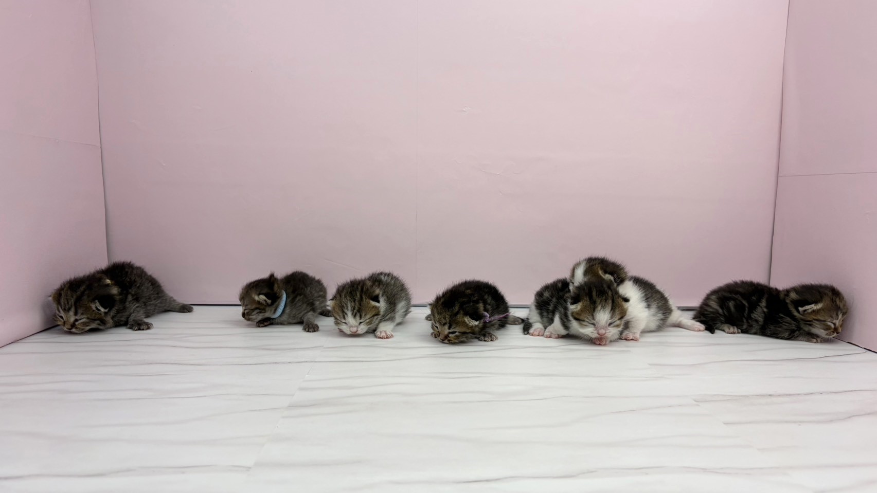 赤ちゃん写真1-3