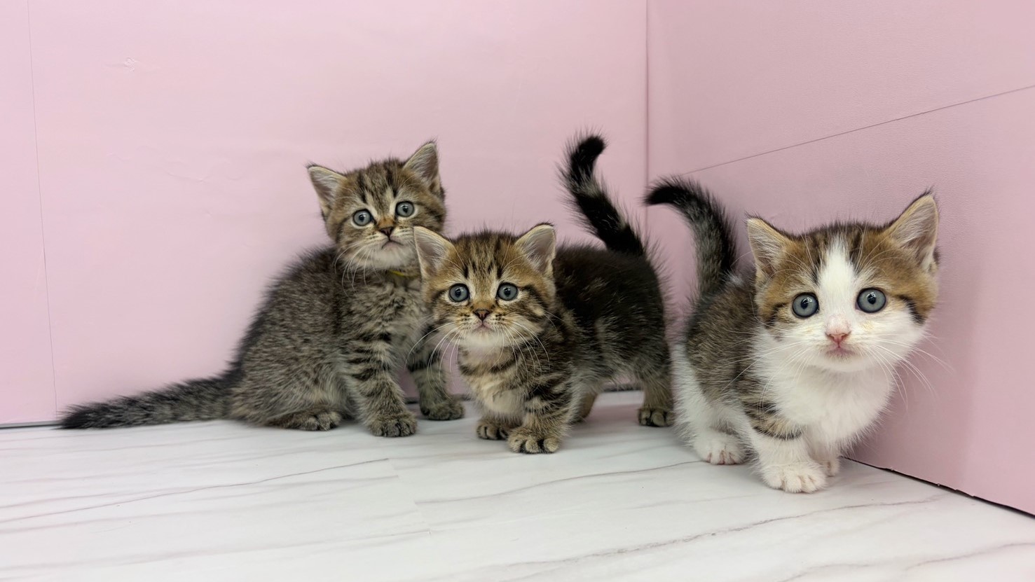 赤ちゃん写真2-3
