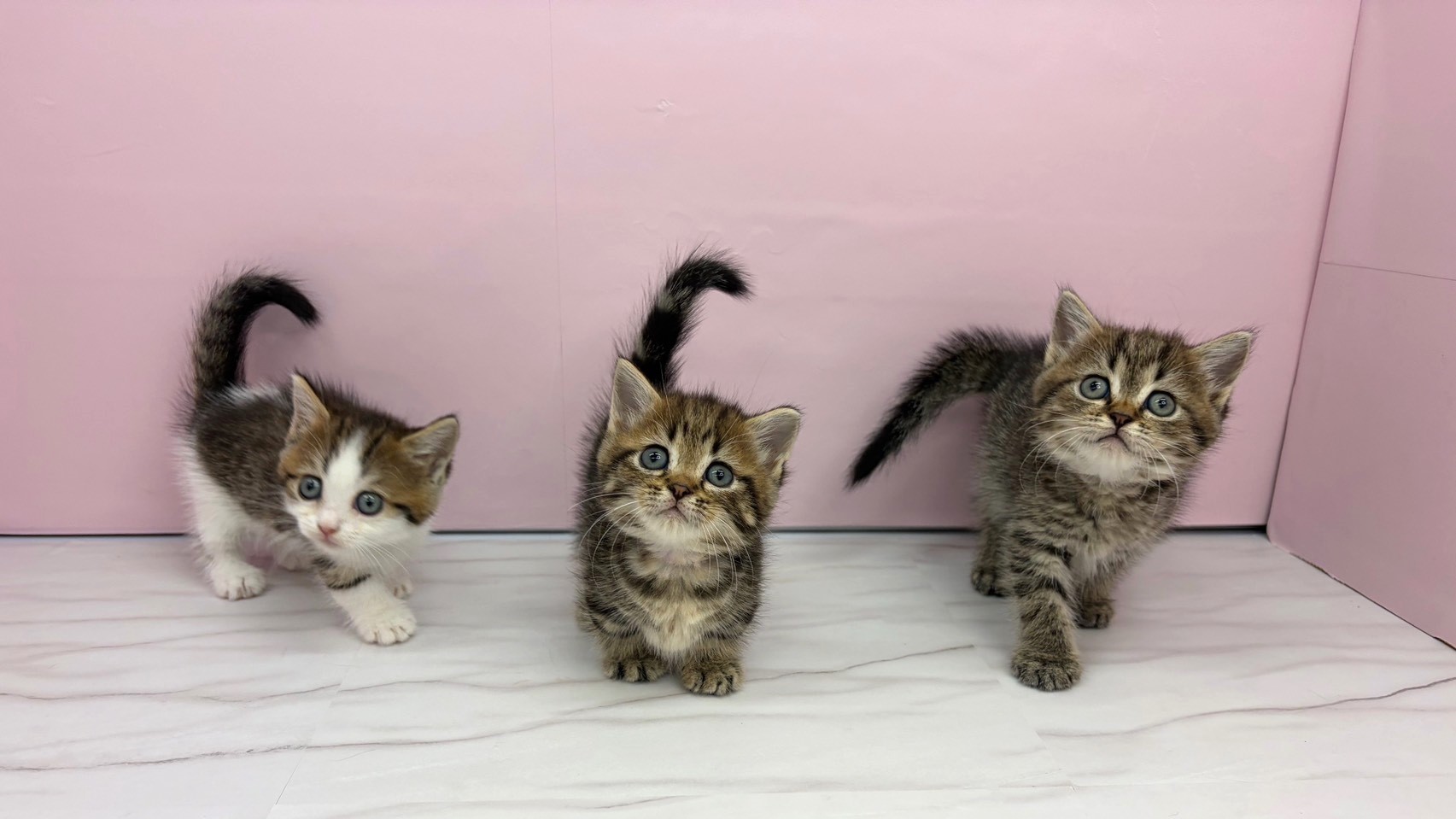 赤ちゃん写真2-3