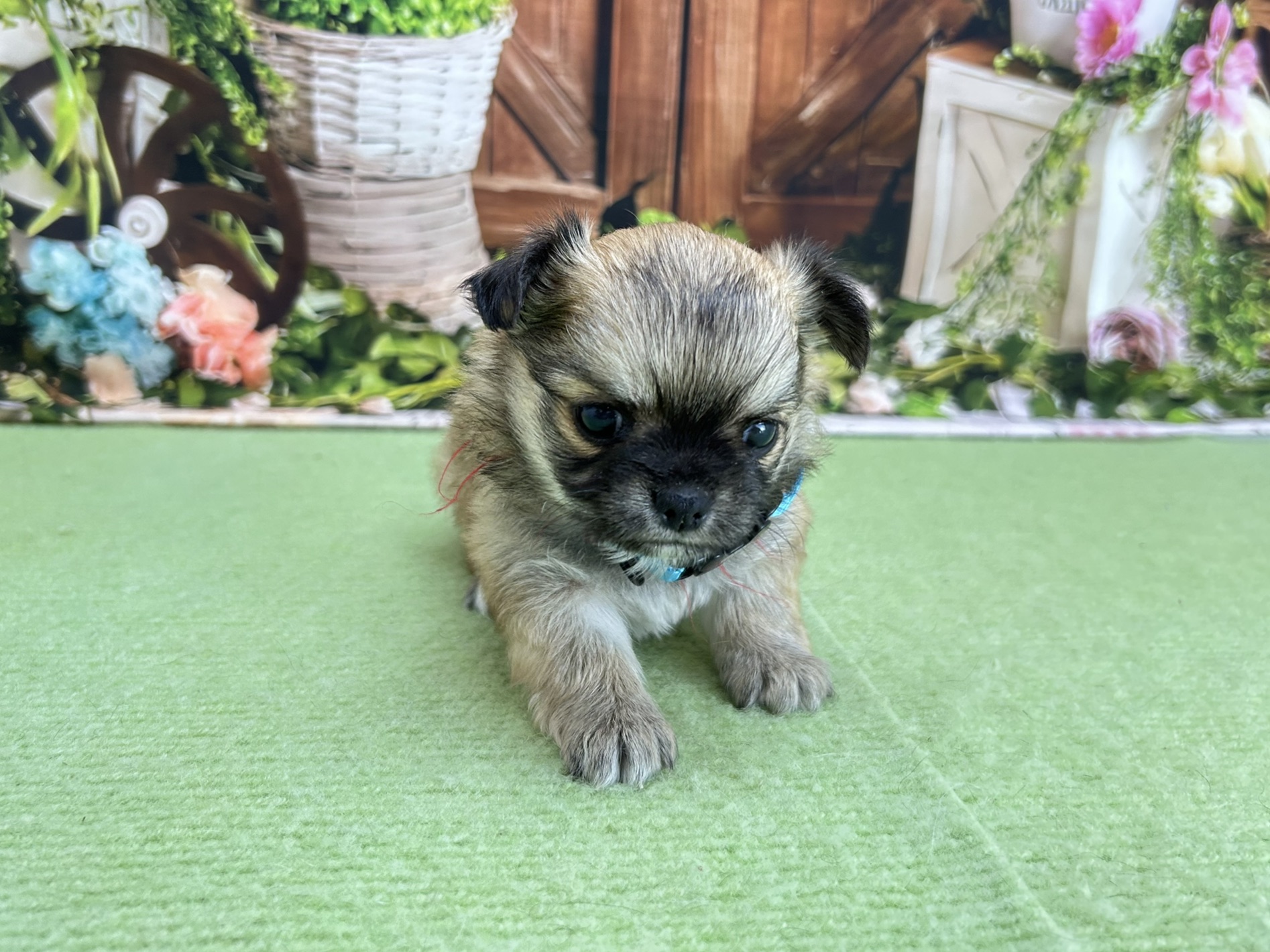 赤ちゃん写真2-1