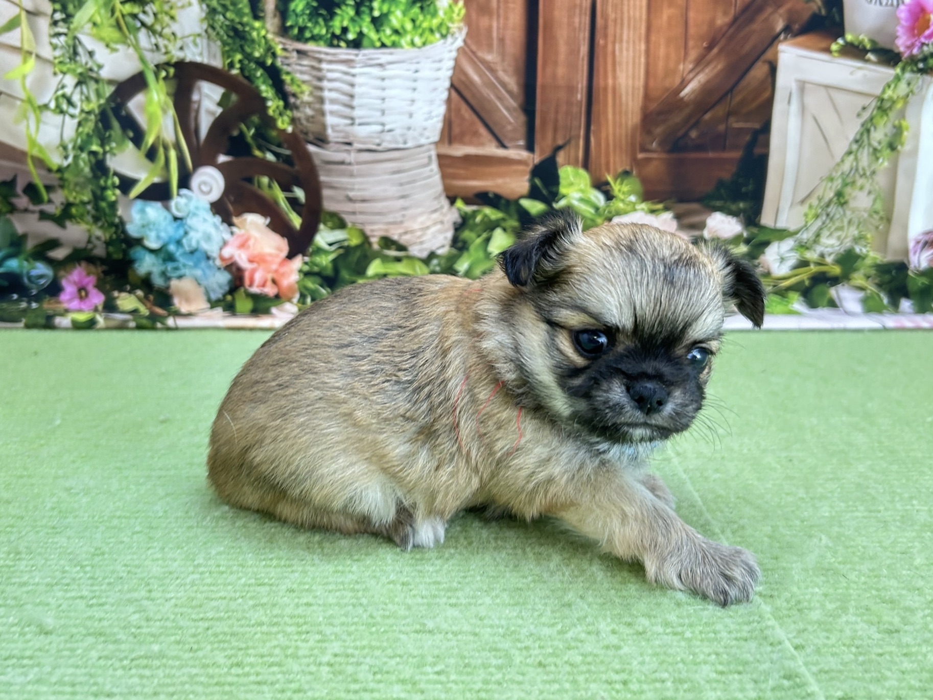 赤ちゃん写真2-2