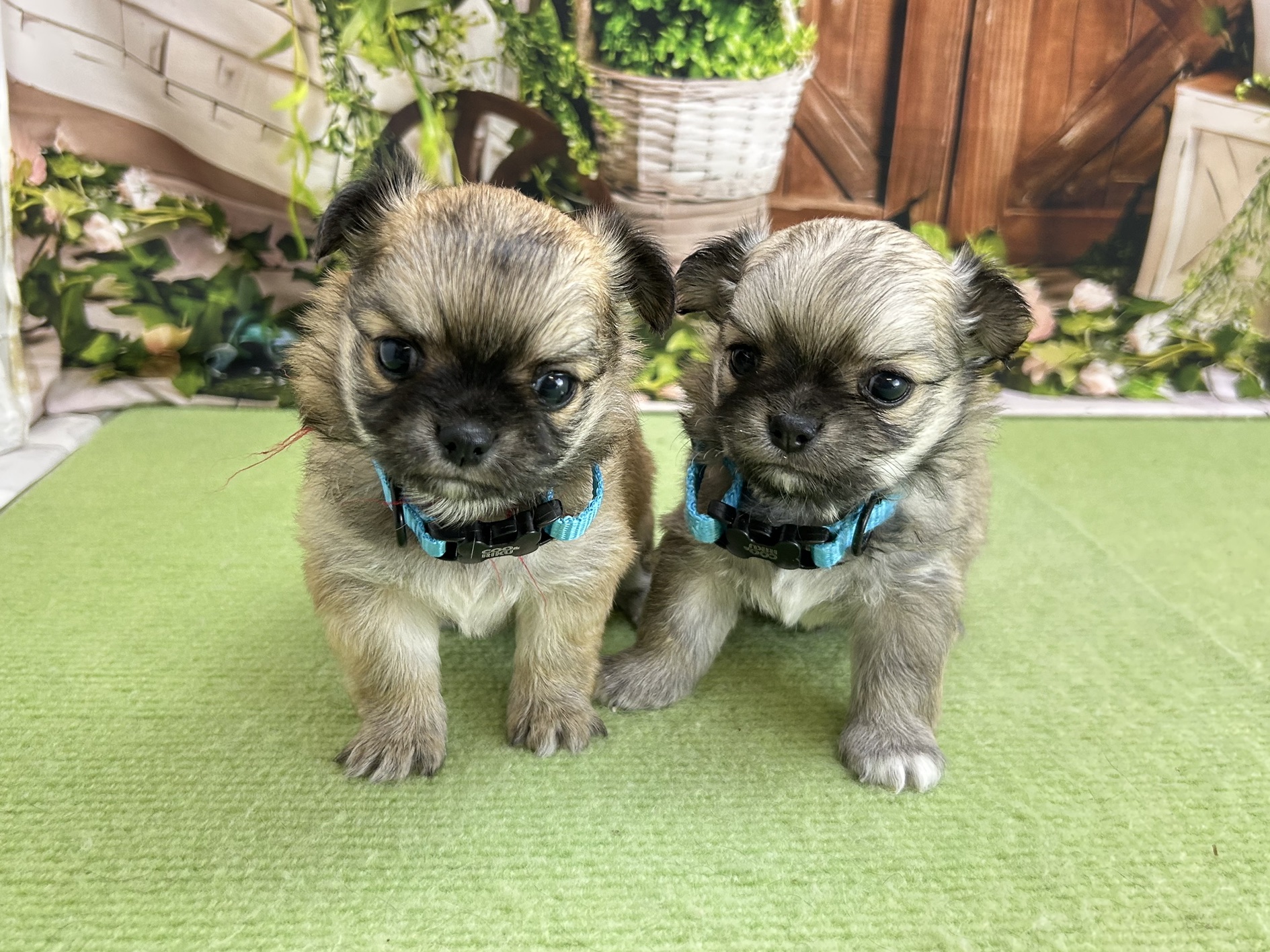 赤ちゃん写真2-3