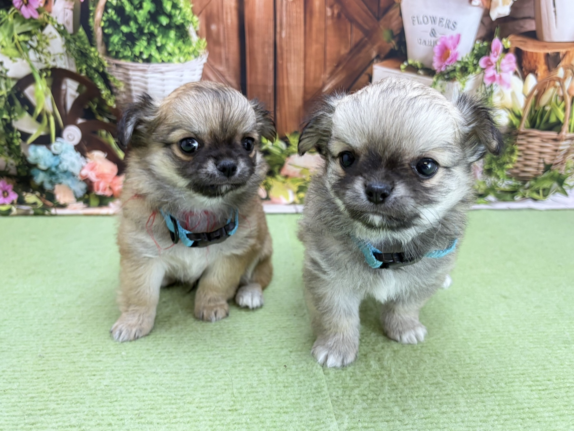 赤ちゃん写真3-3