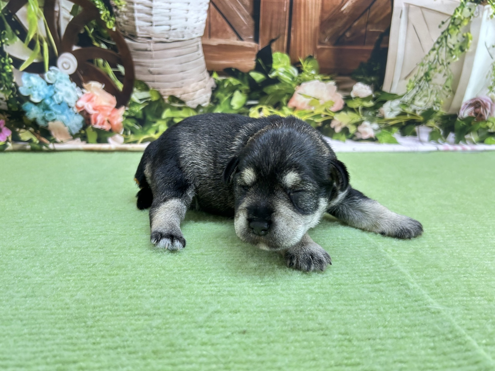 赤ちゃん写真1-3