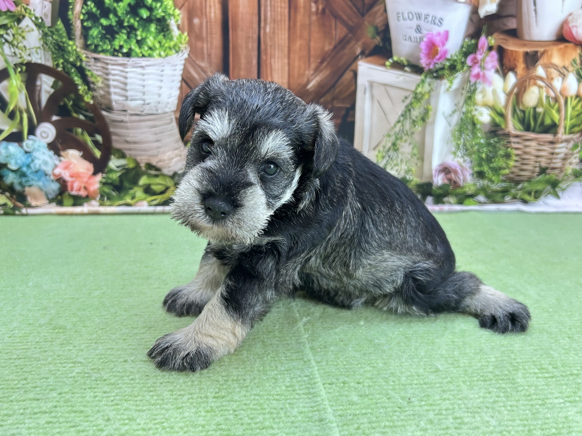 赤ちゃん写真2-3