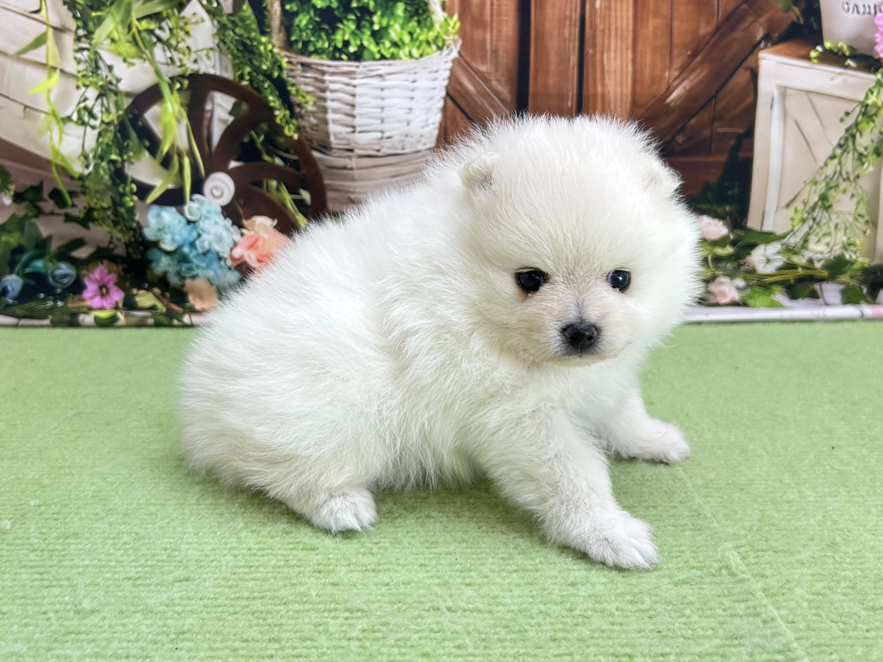 赤ちゃん写真2-3